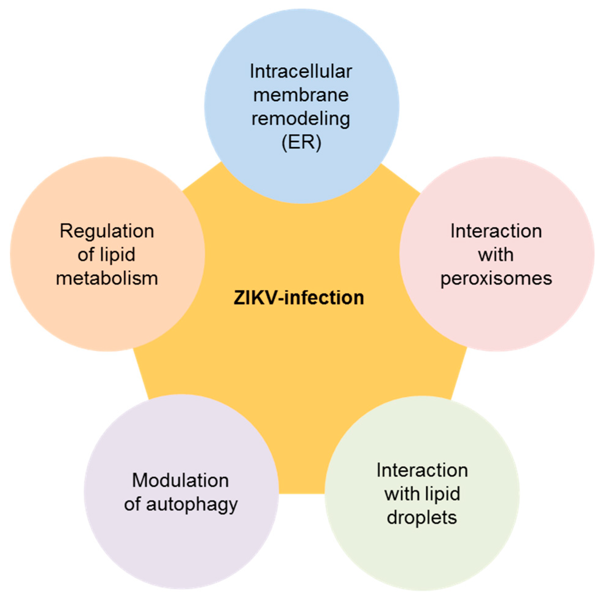 Pharmaceuticals 12 00097 g001