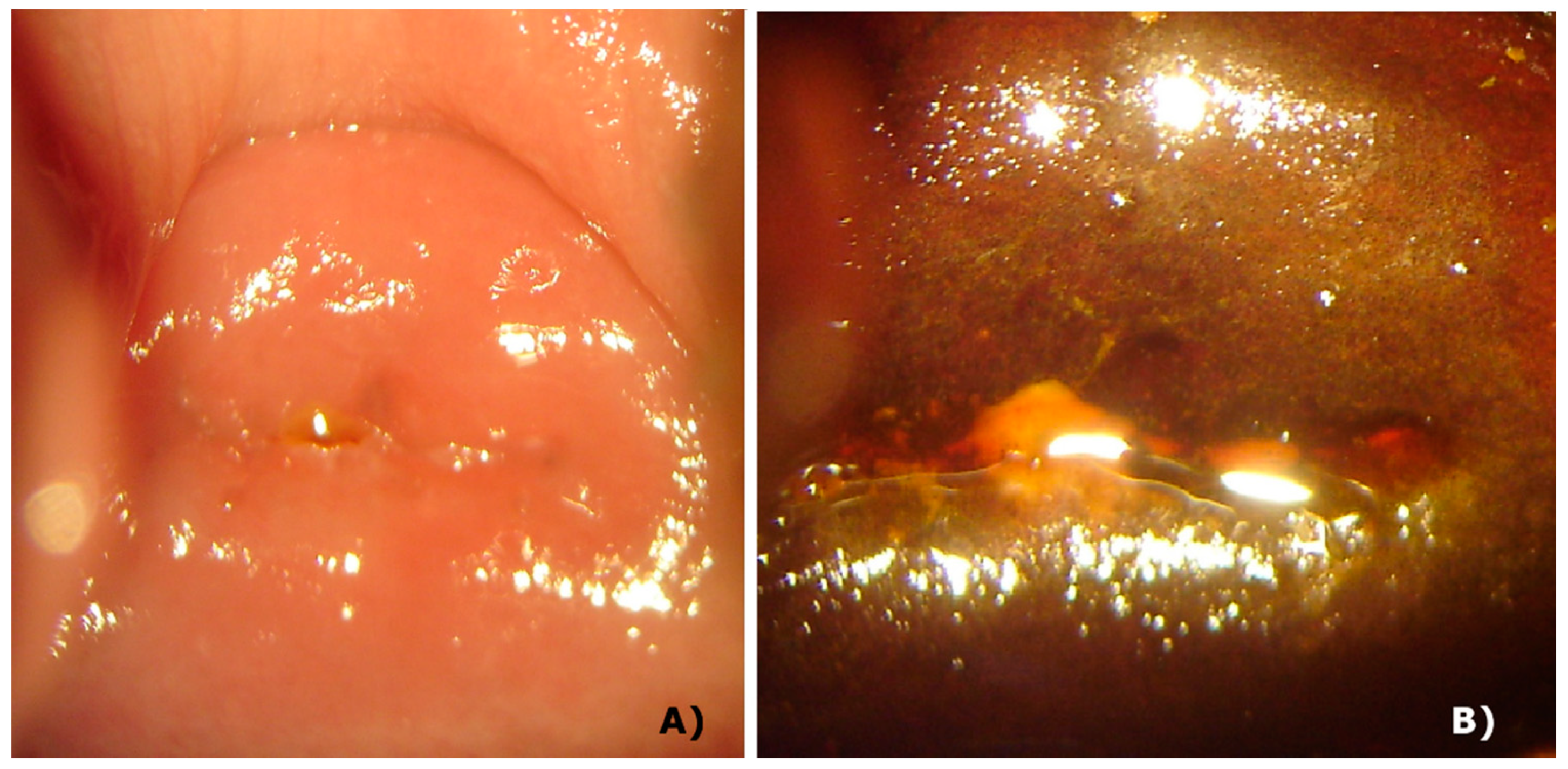 Pharmaceuticals 12 00107 g005 Pharmaceuticals 12 00107 g005