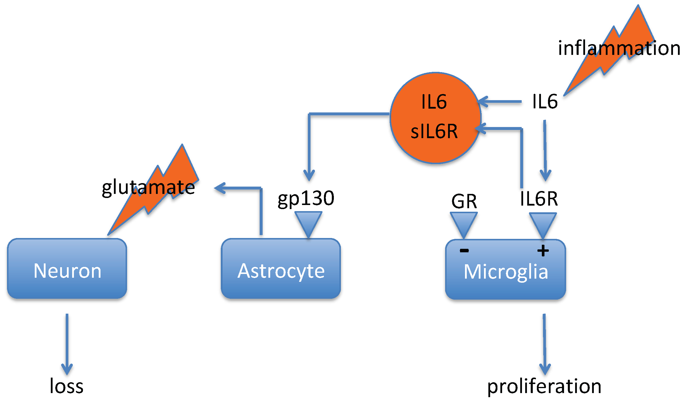 Pharmaceuticals 12 00113 g002