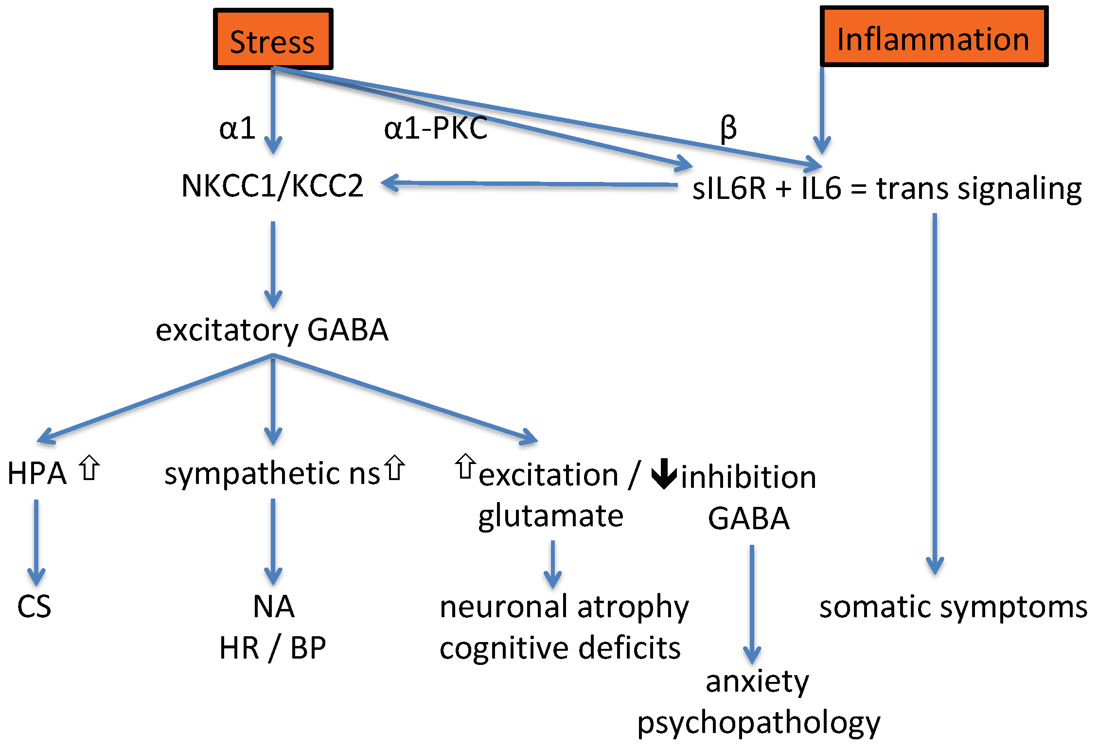 Pharmaceuticals 12 00113 g003