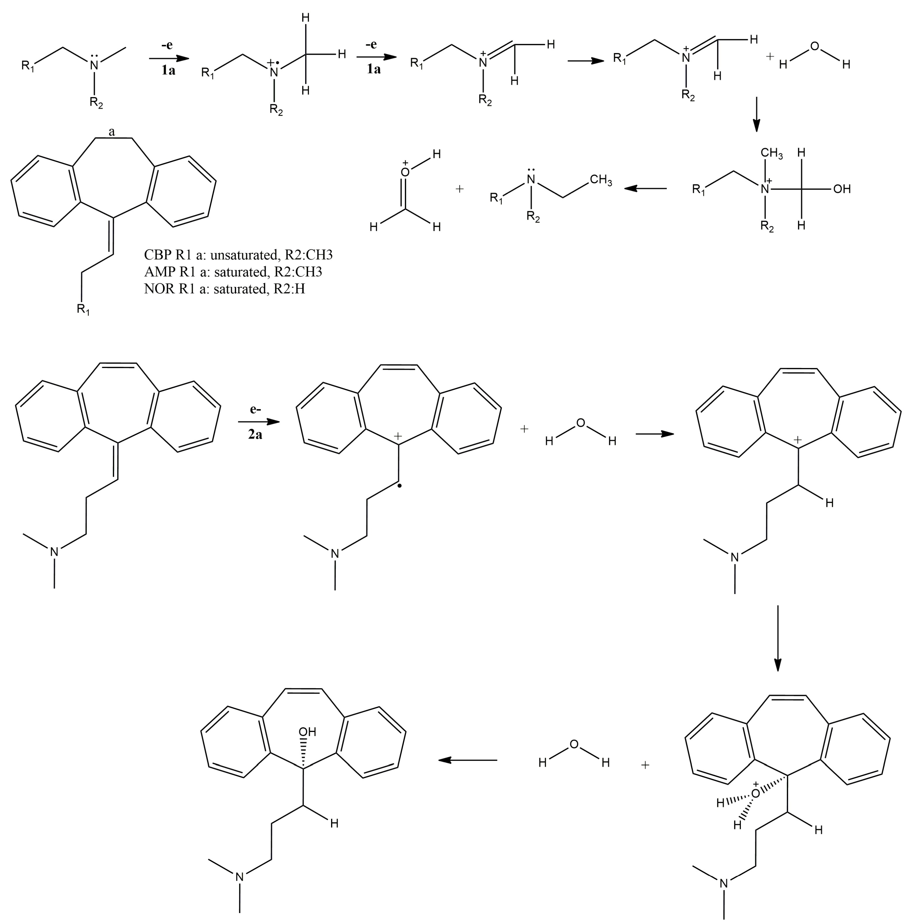 Pharmaceuticals 12 00116 g007