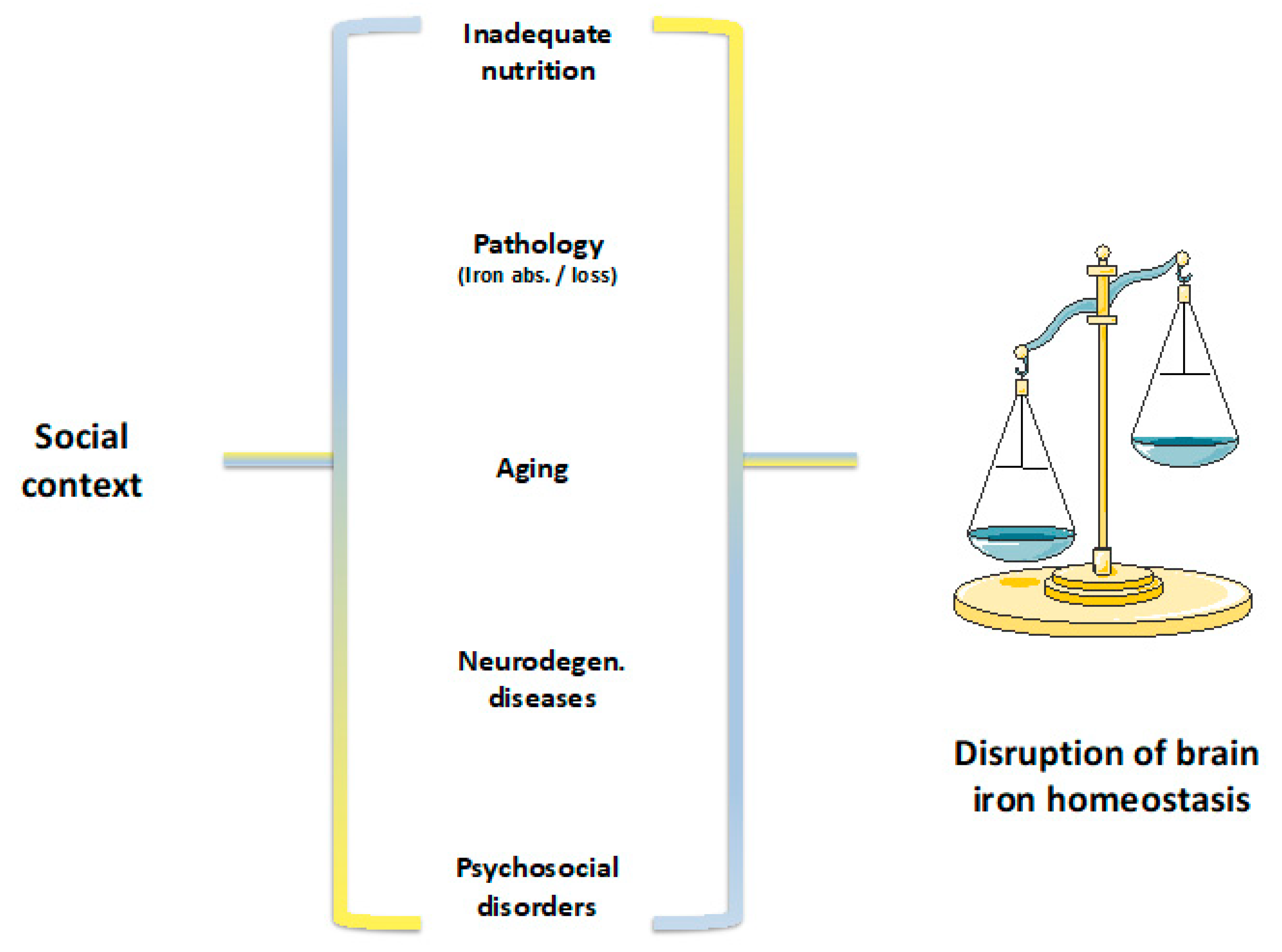 Pharmaceuticals 12 00126 g001
