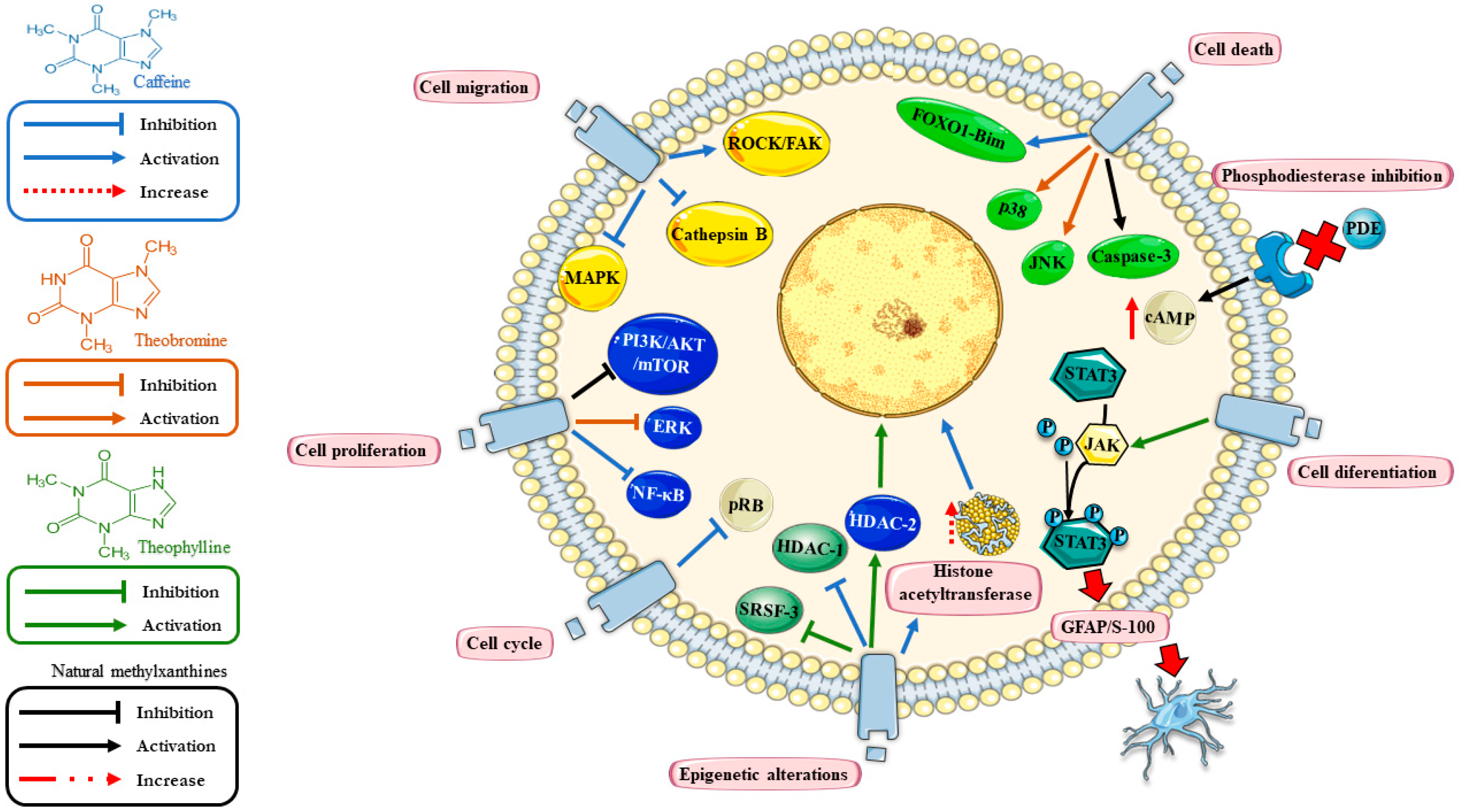 Pharmaceuticals 12 00130 g001 Pharmaceuticals 12 00130 g001