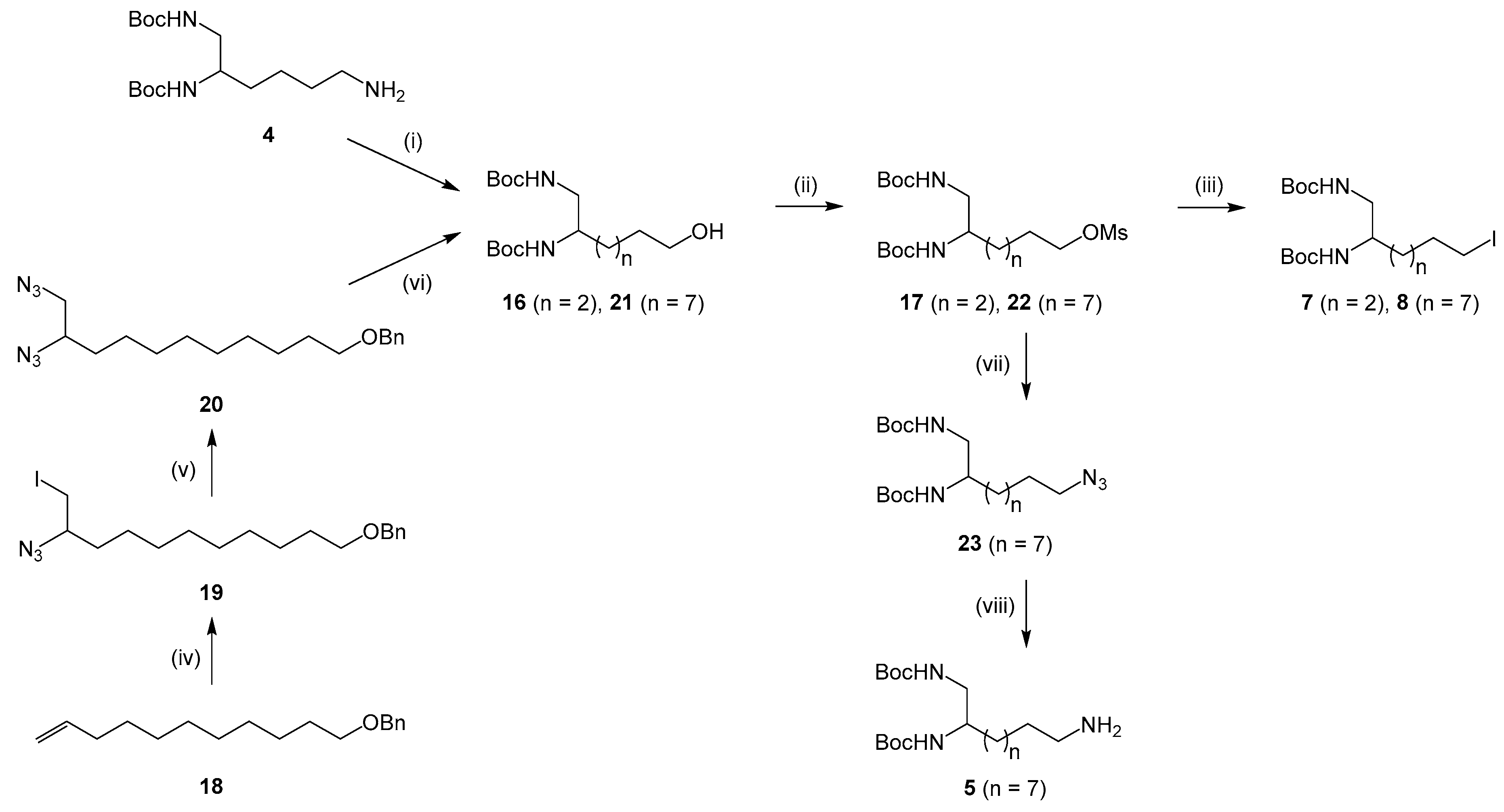 Pharmaceuticals 12 00162 sch002 Pharmaceuticals 12 00162 sch002
