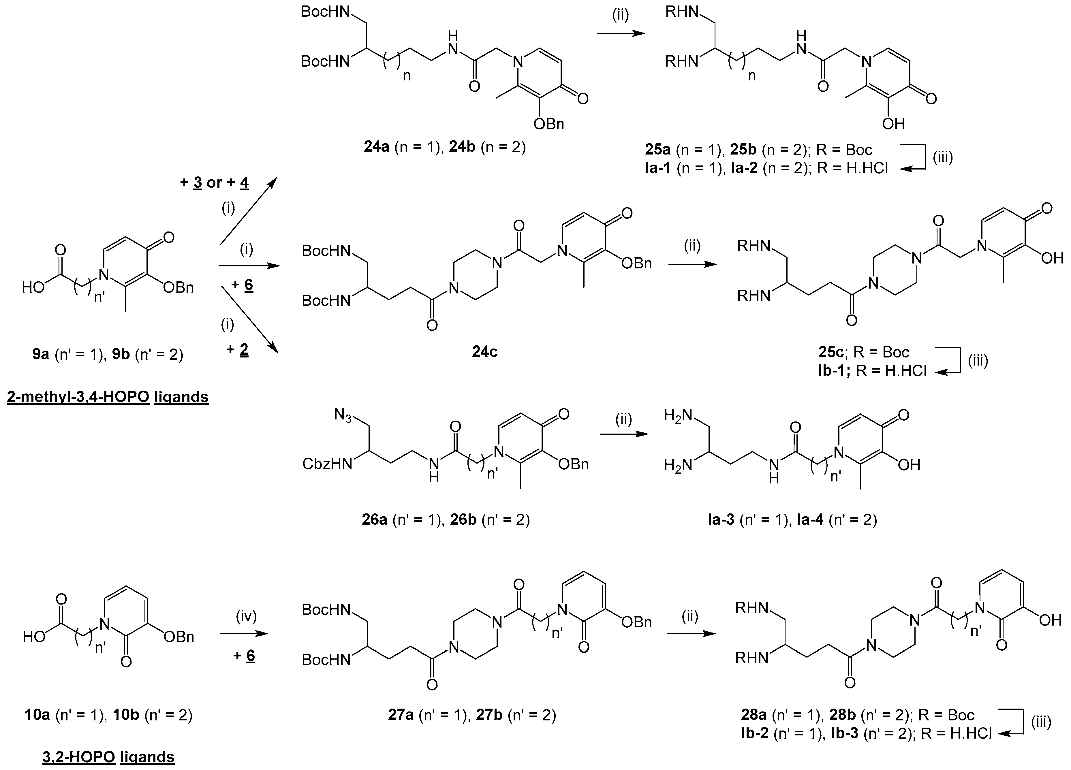 Pharmaceuticals 12 00162 sch003 Pharmaceuticals 12 00162 sch003
