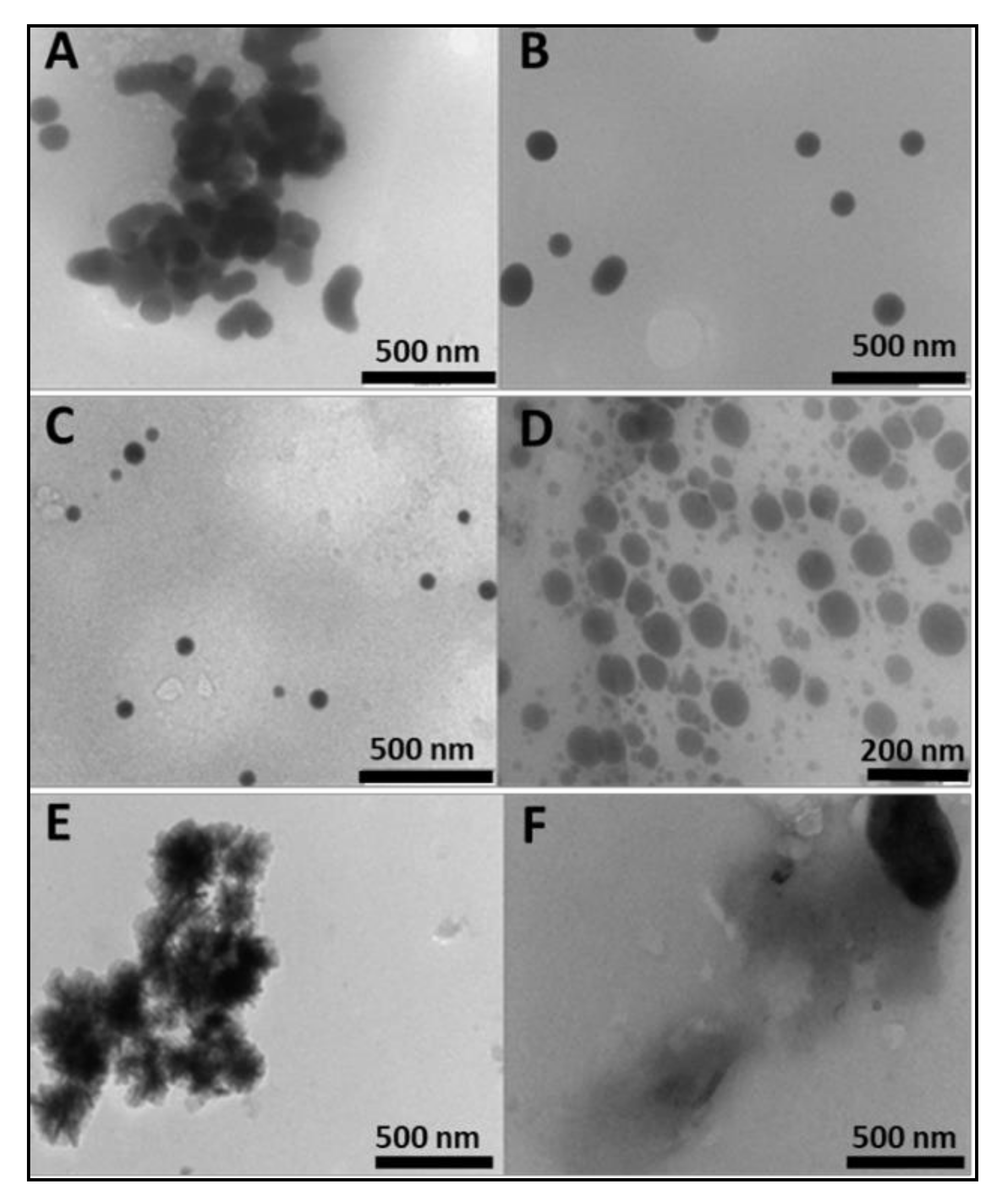 Pharmaceuticals 12 00164 g001