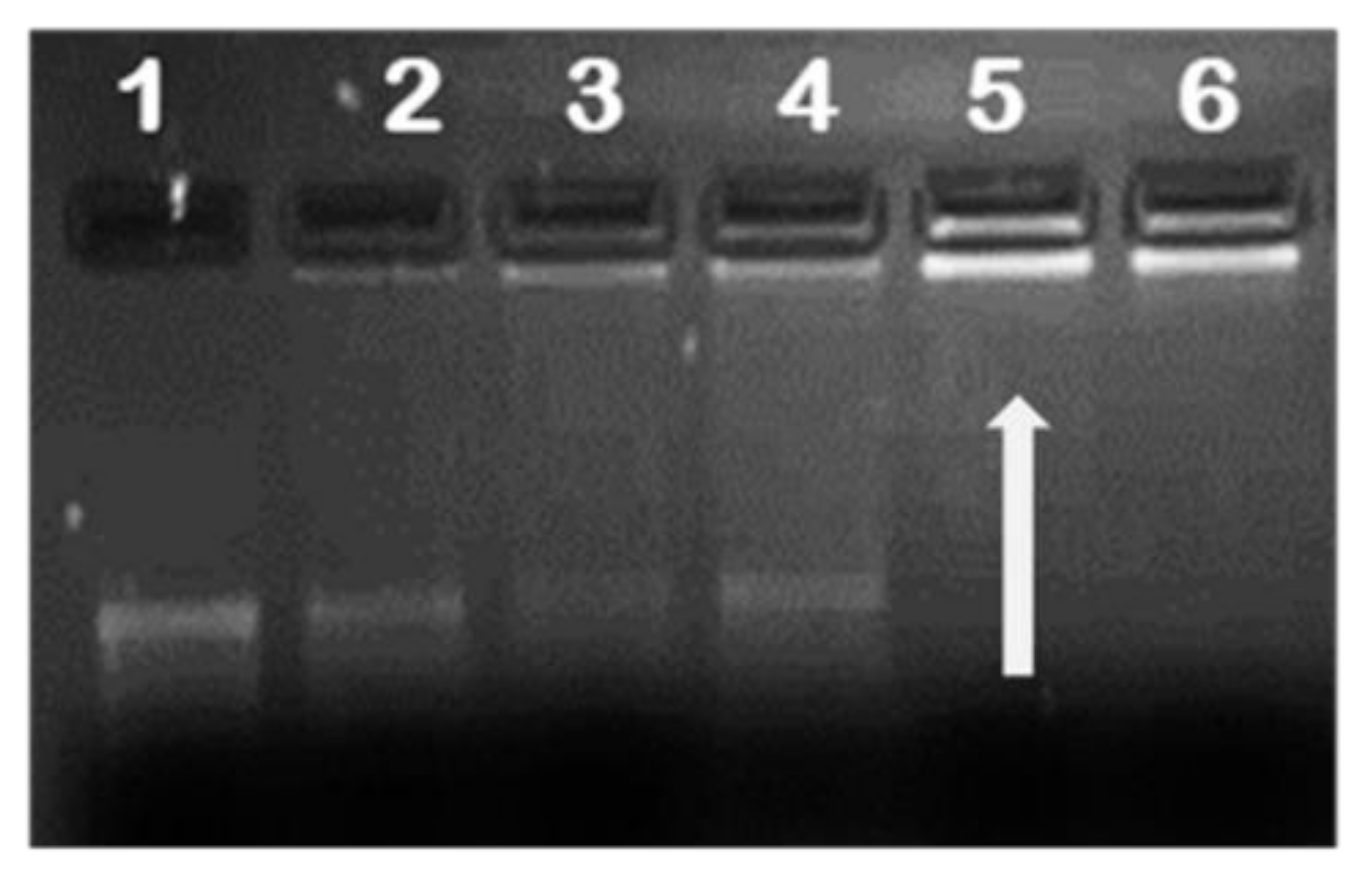 Pharmaceuticals 12 00164 g003