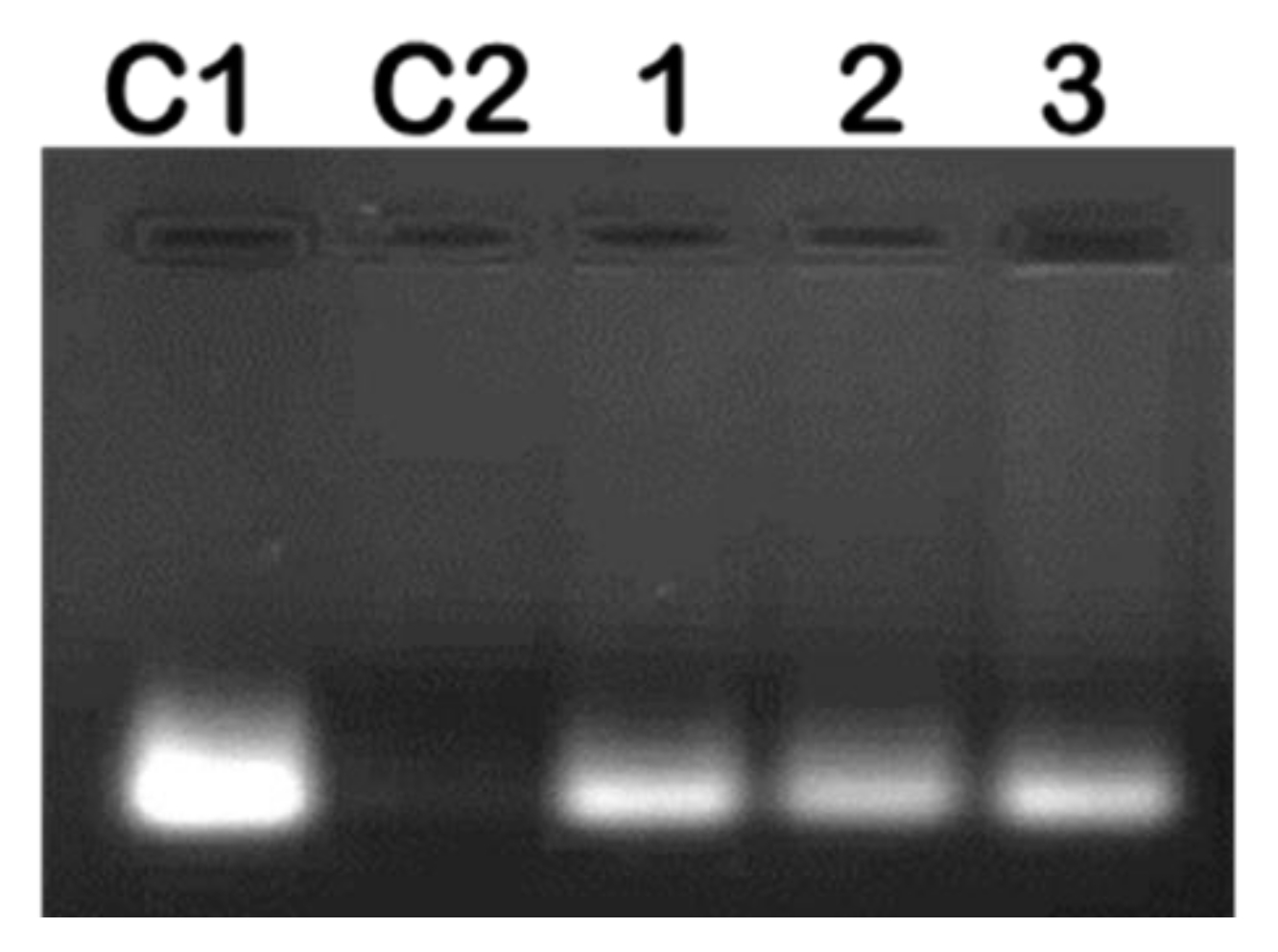 Pharmaceuticals 12 00164 g005