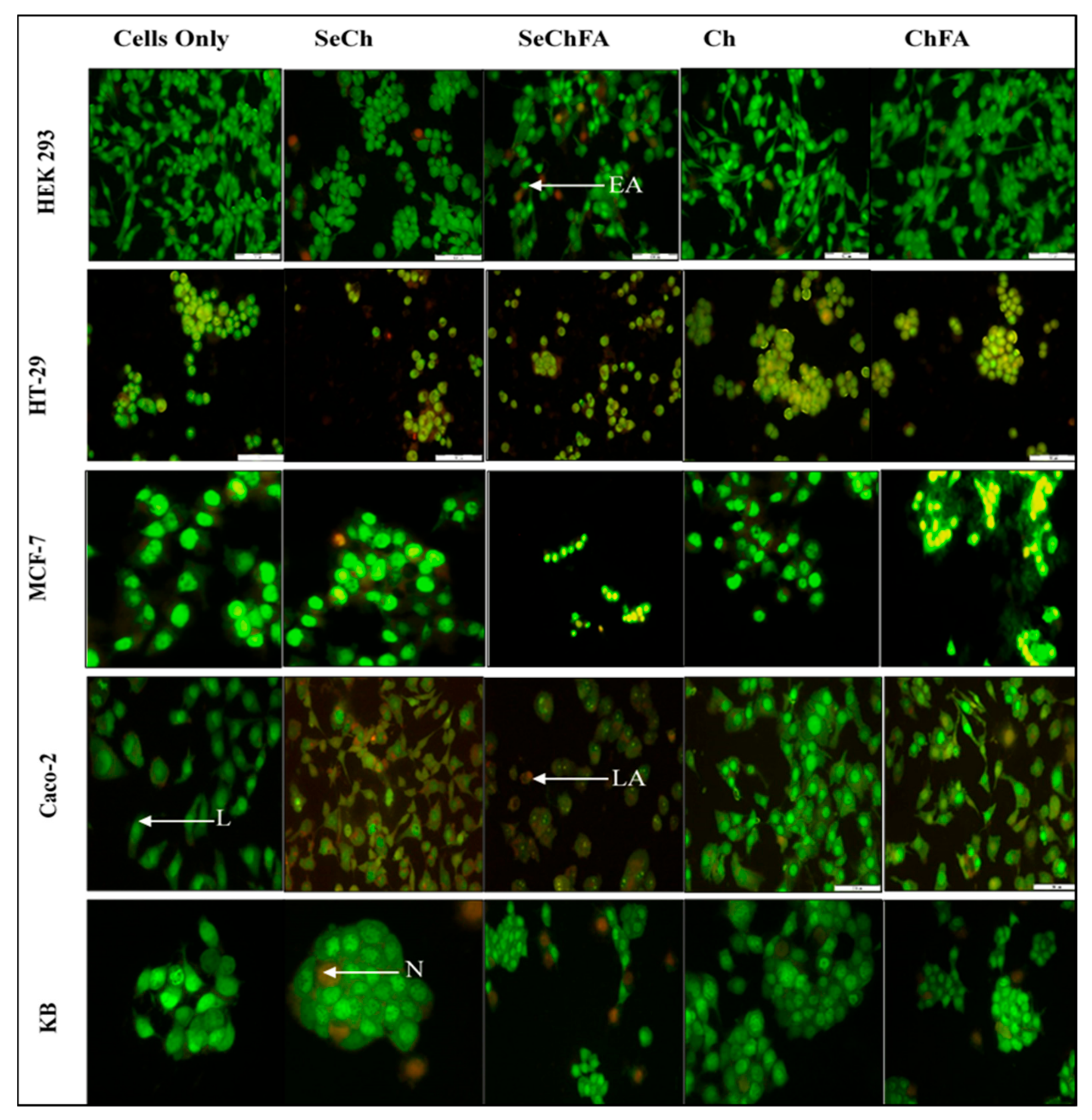 Pharmaceuticals 12 00164 g010