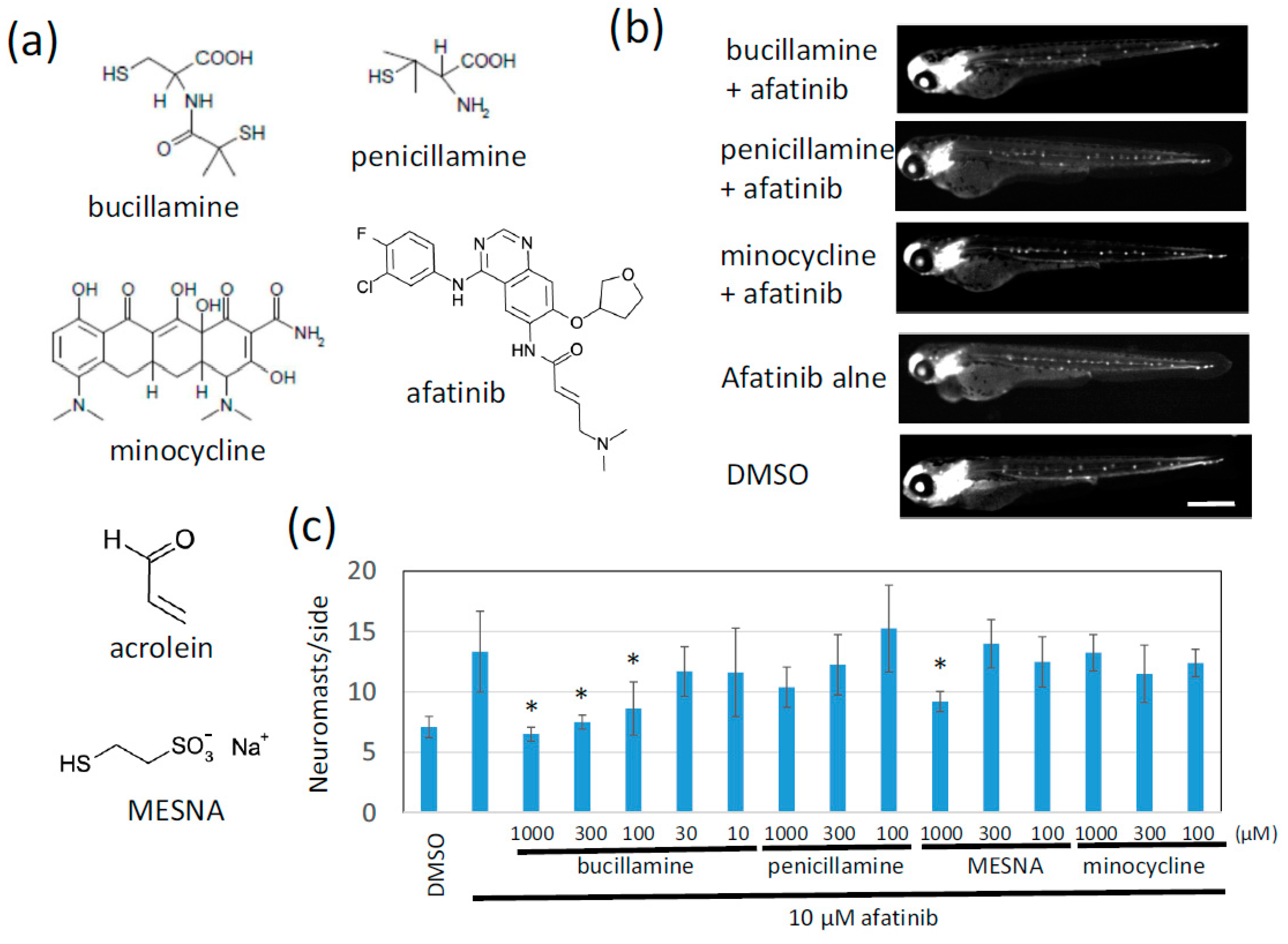 Pharmaceuticals 12 00165 g002