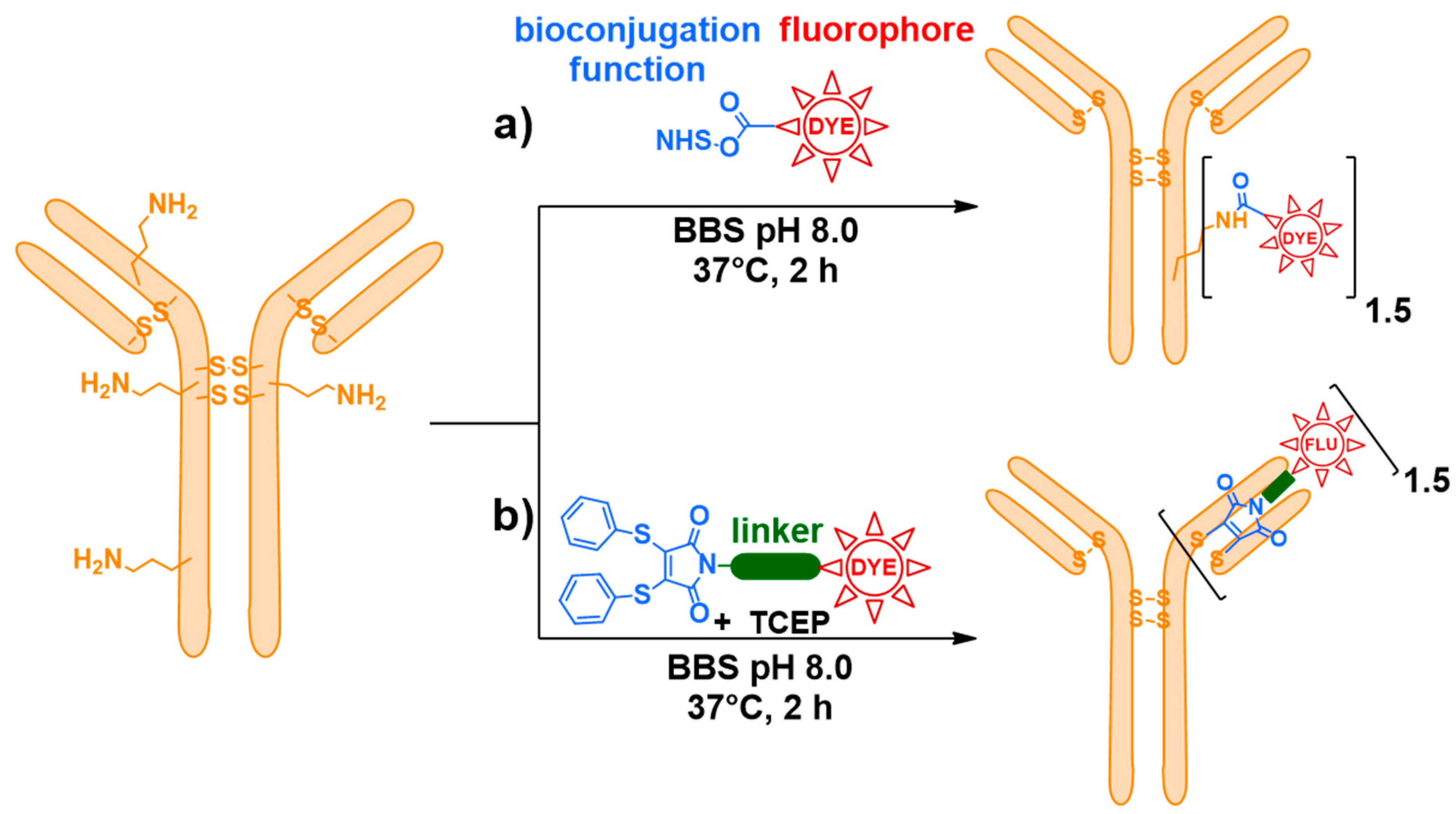 Pharmaceuticals 12 00176 sch002 Pharmaceuticals 12 00176 sch002