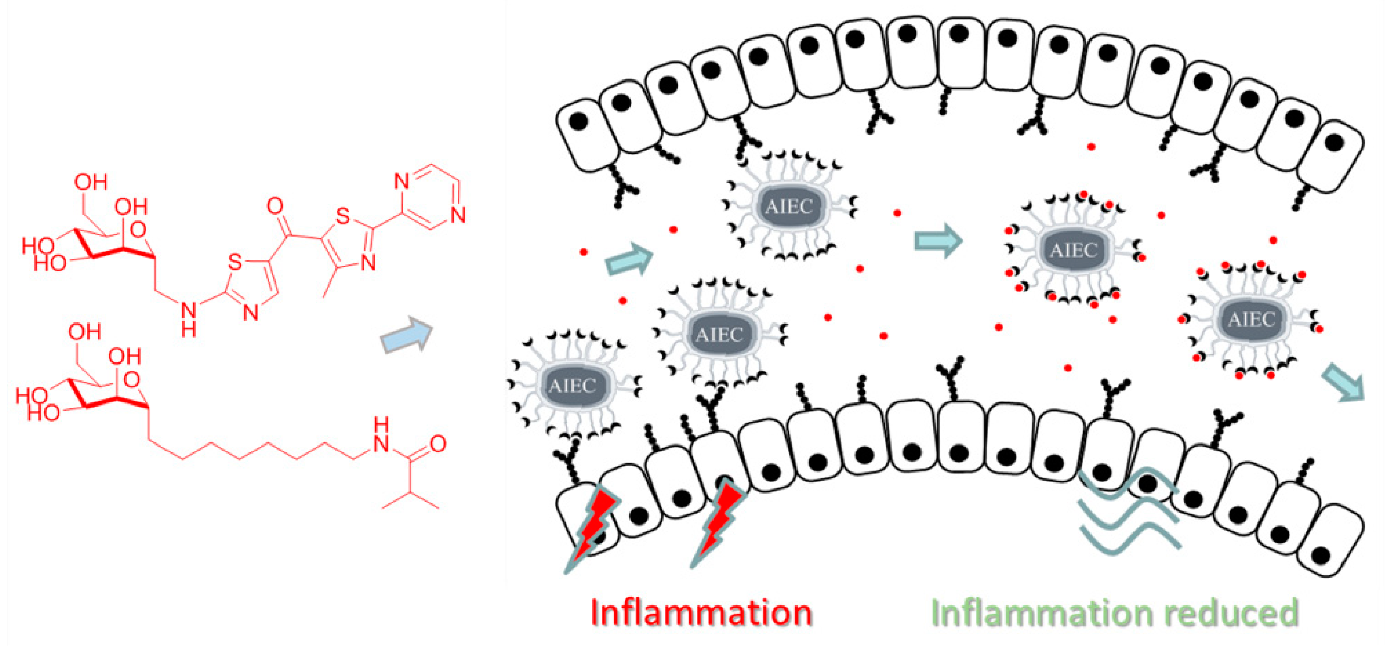 Pharmaceuticals 12 00179 g001