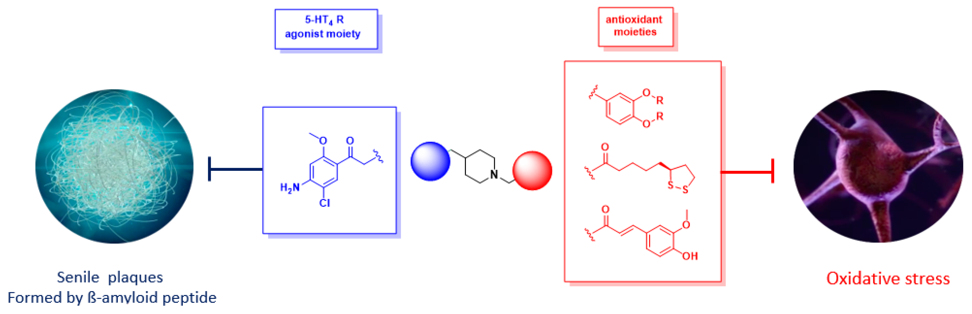 Pharmaceuticals 12 00179 g004