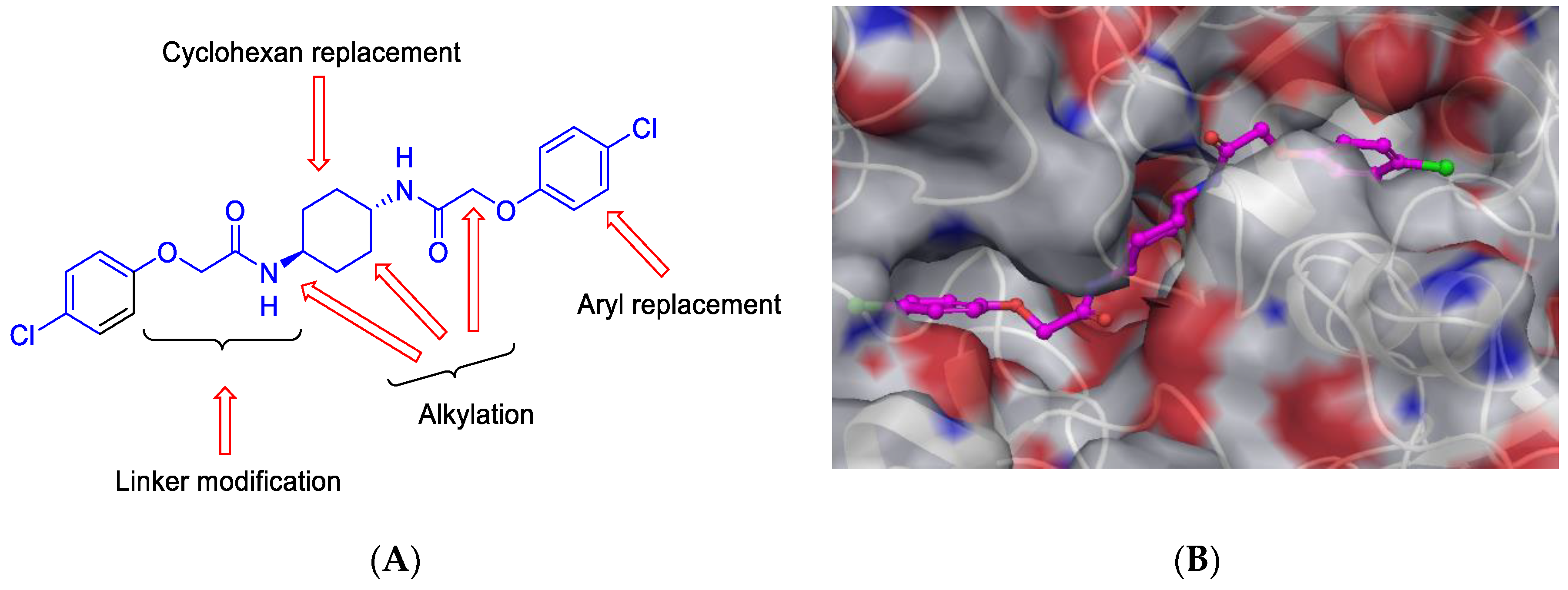 Pharmaceuticals 12 00179 g005