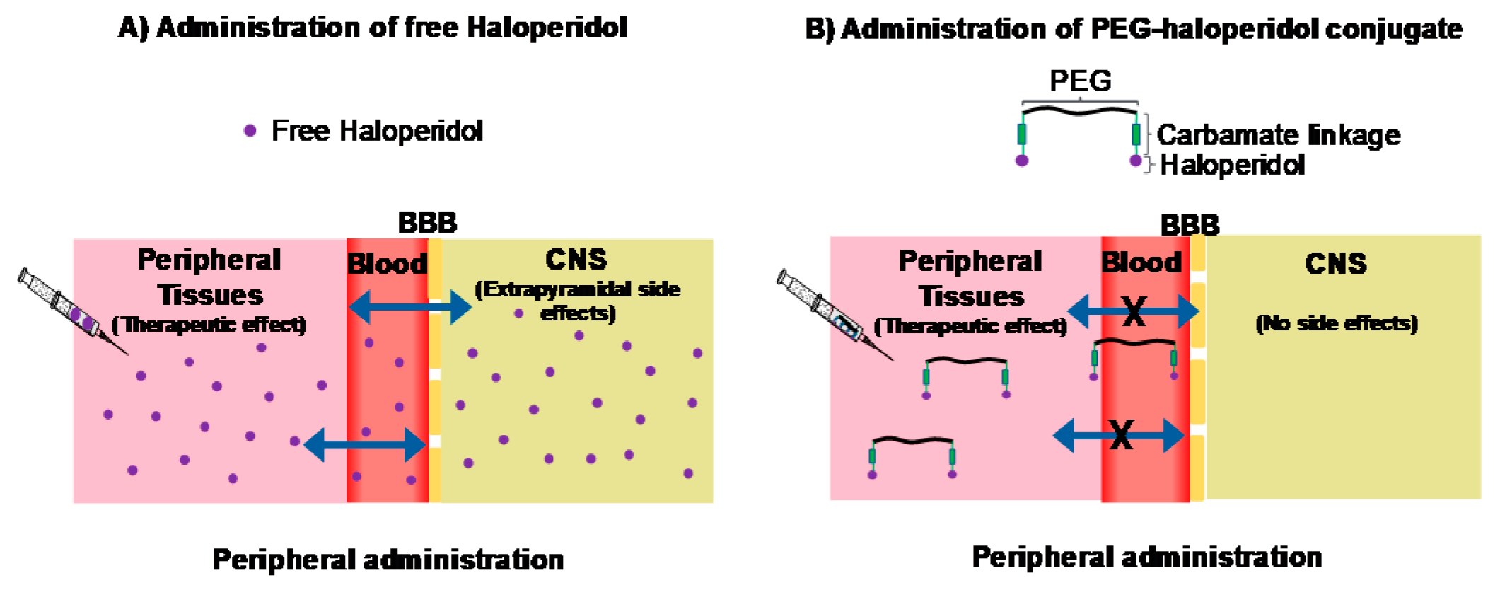 Pharmaceuticals 12 00179 g006