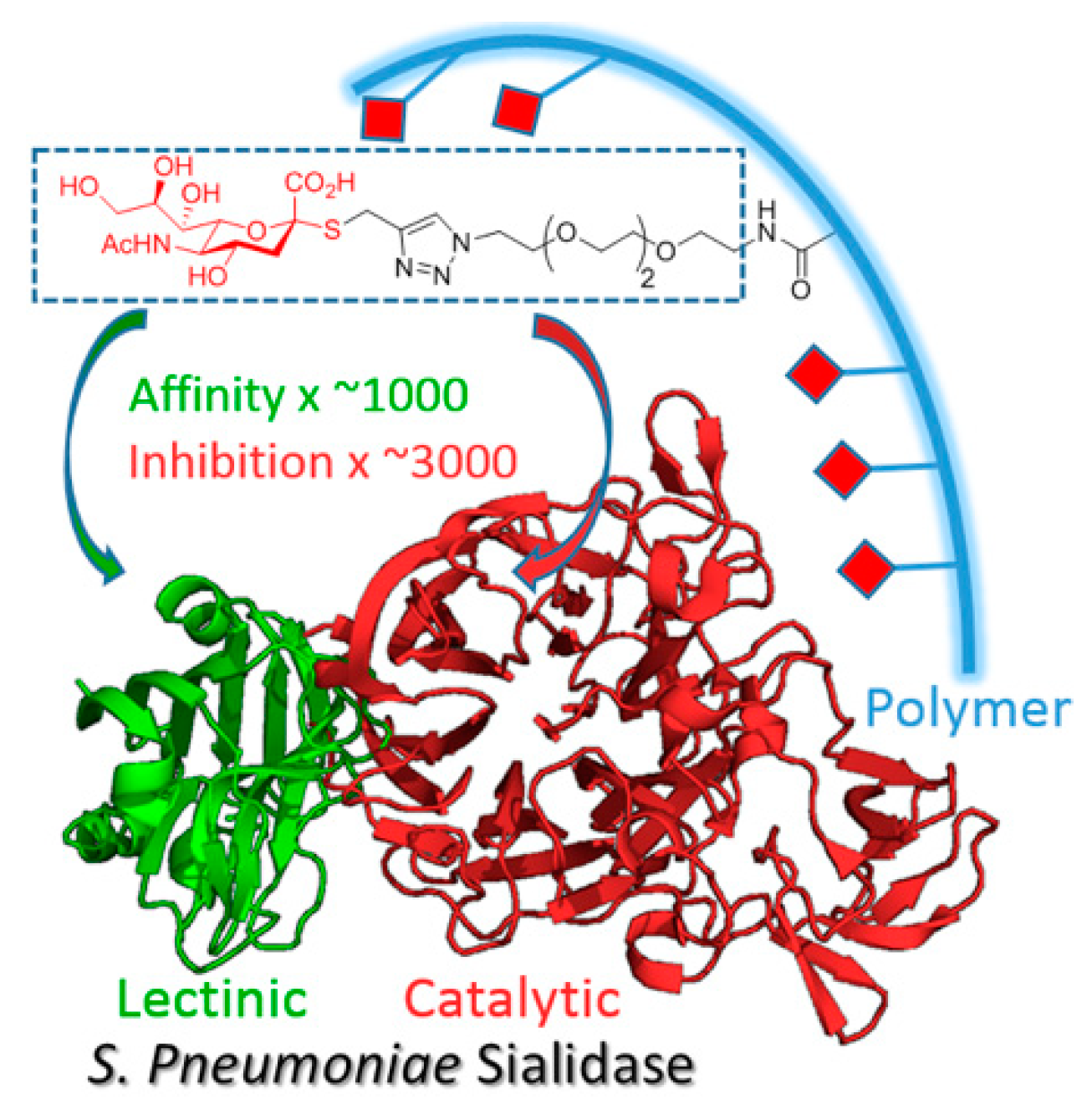 Pharmaceuticals 12 00179 g009