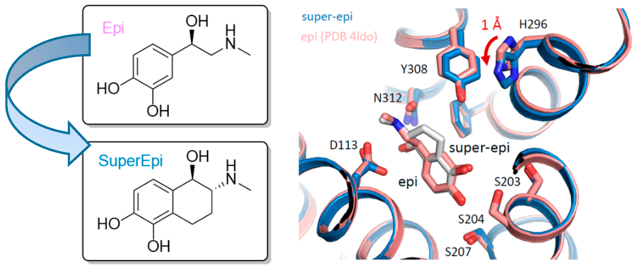 Pharmaceuticals 12 00179 g017
