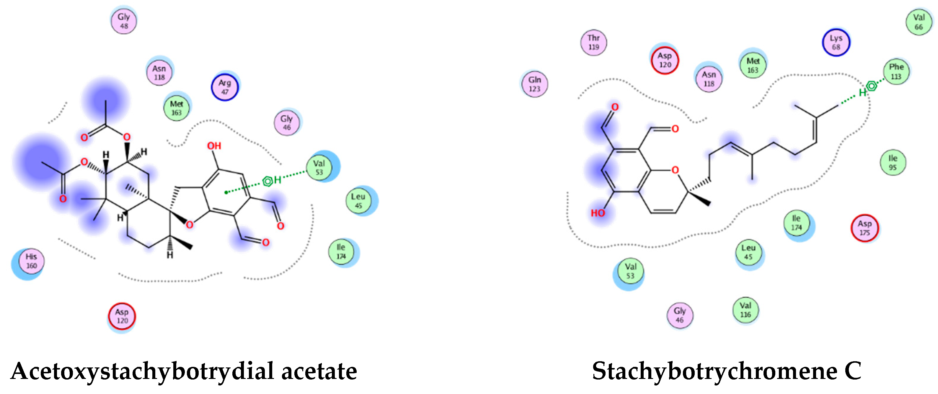 Pharmaceuticals 12 00179 g023