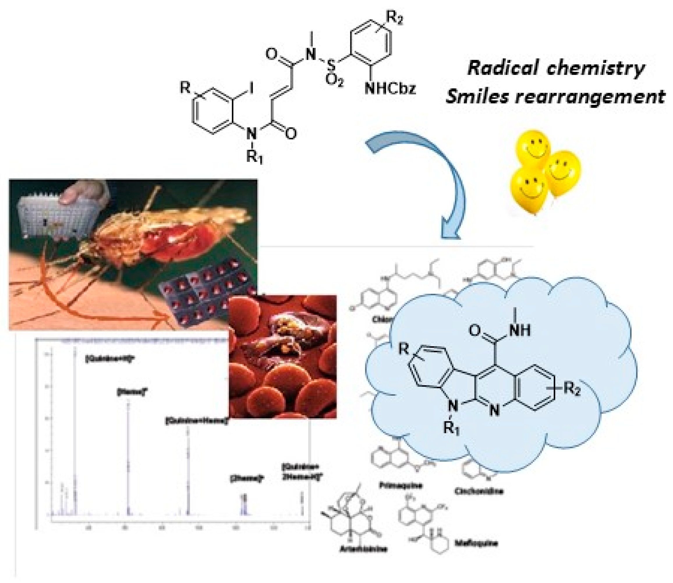 Pharmaceuticals 12 00179 g024
