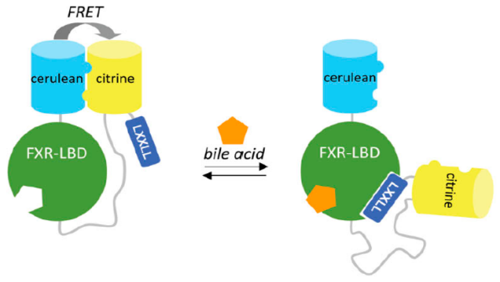 Pharmaceuticals 12 00179 g026