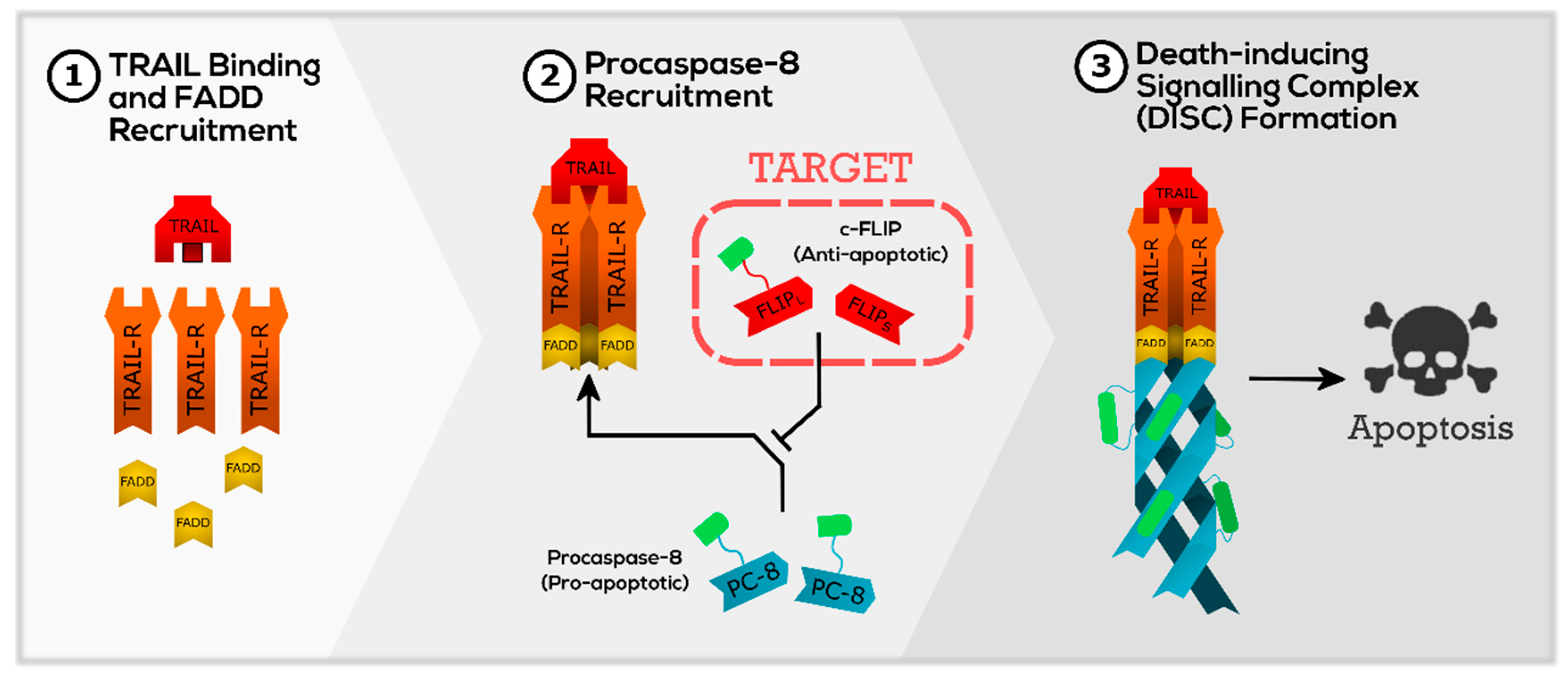 Pharmaceuticals 12 00179 g028