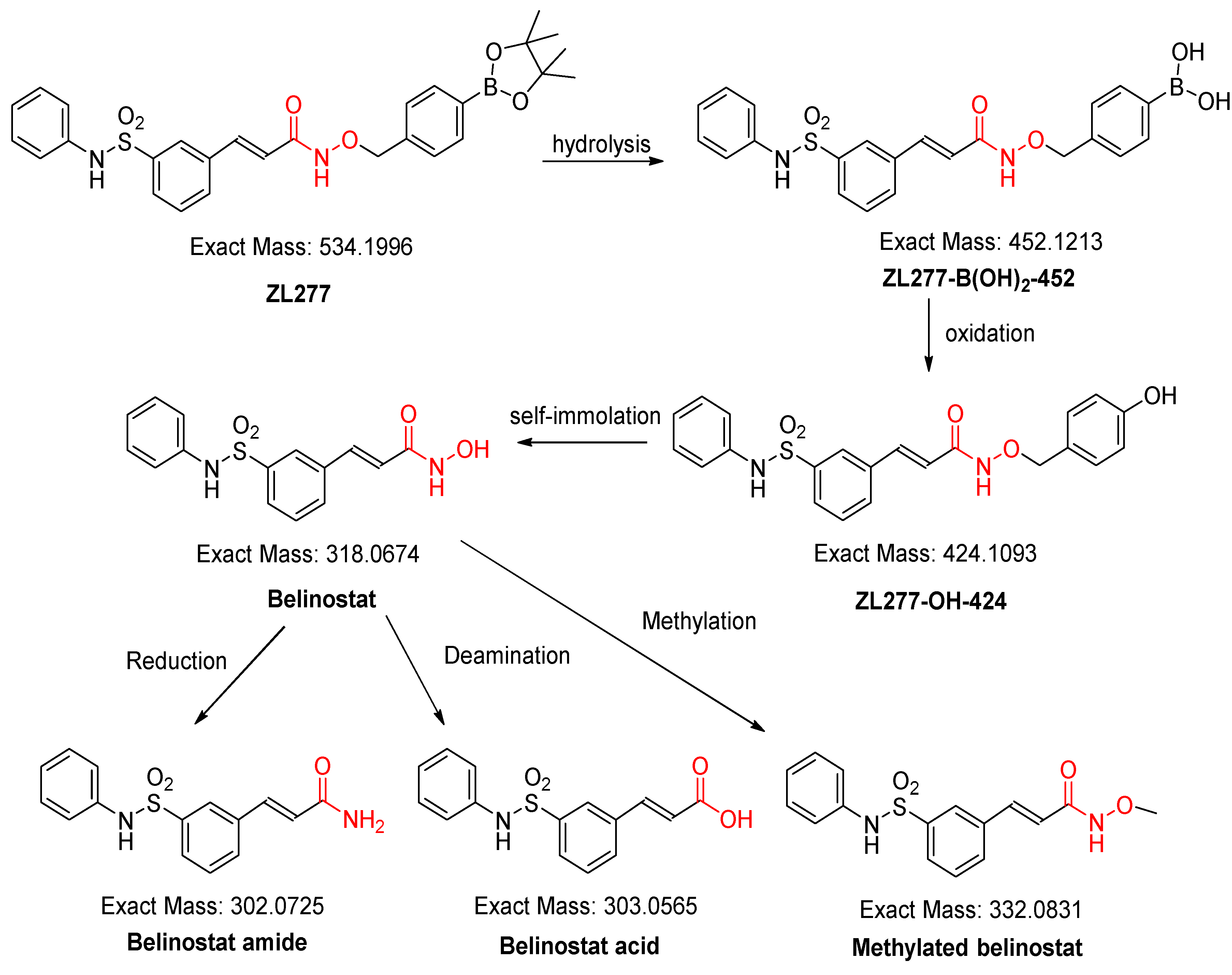 Pharmaceuticals 12 00180 g002