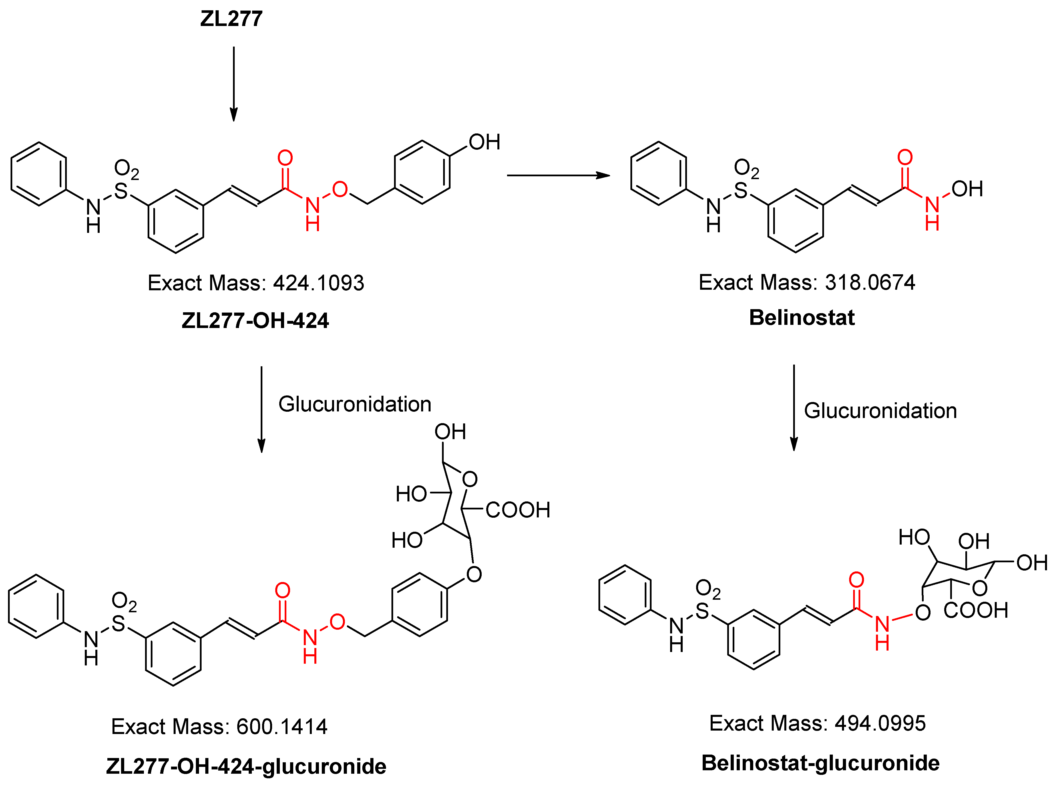 Pharmaceuticals 12 00180 g004