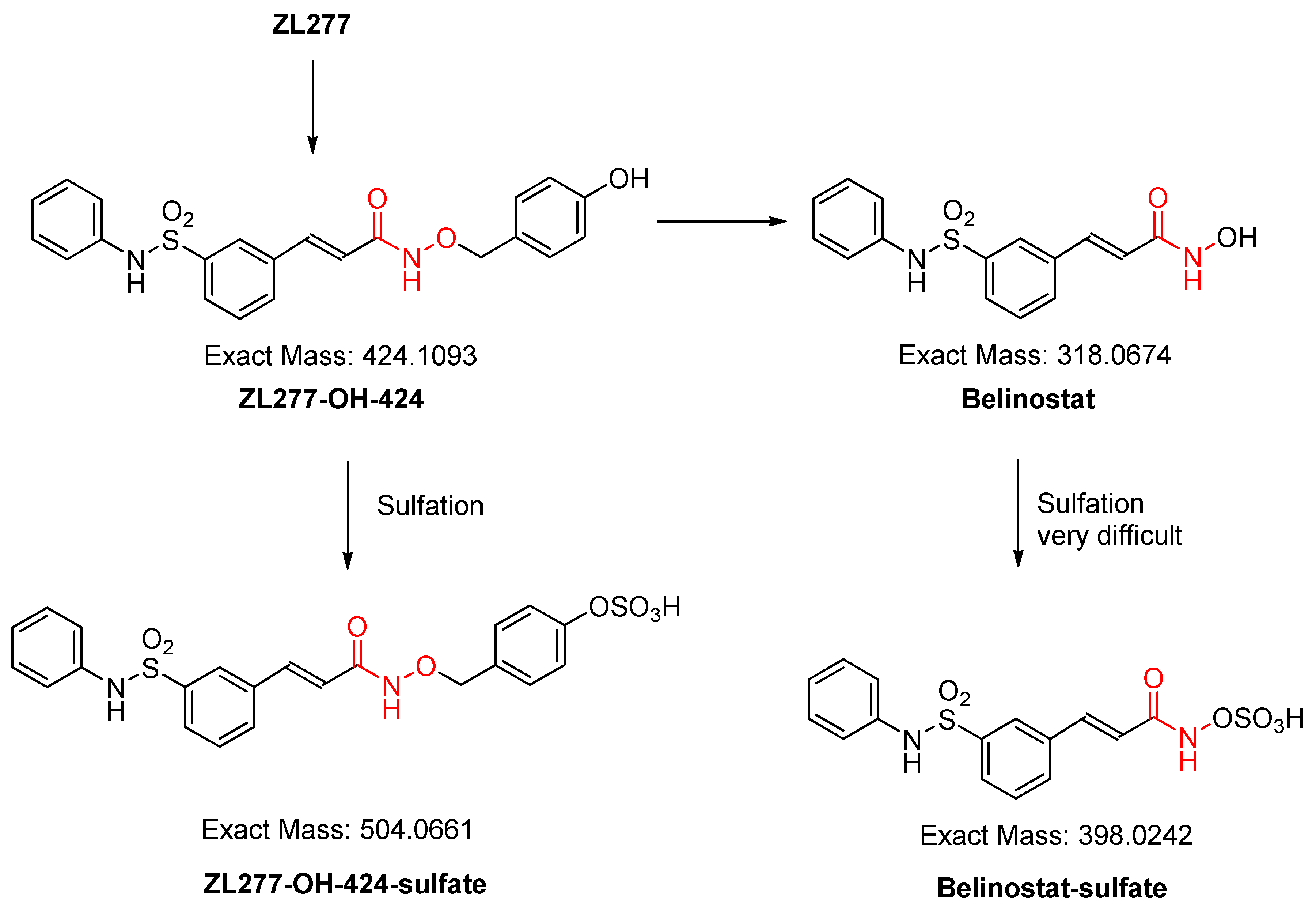 Pharmaceuticals 12 00180 g006