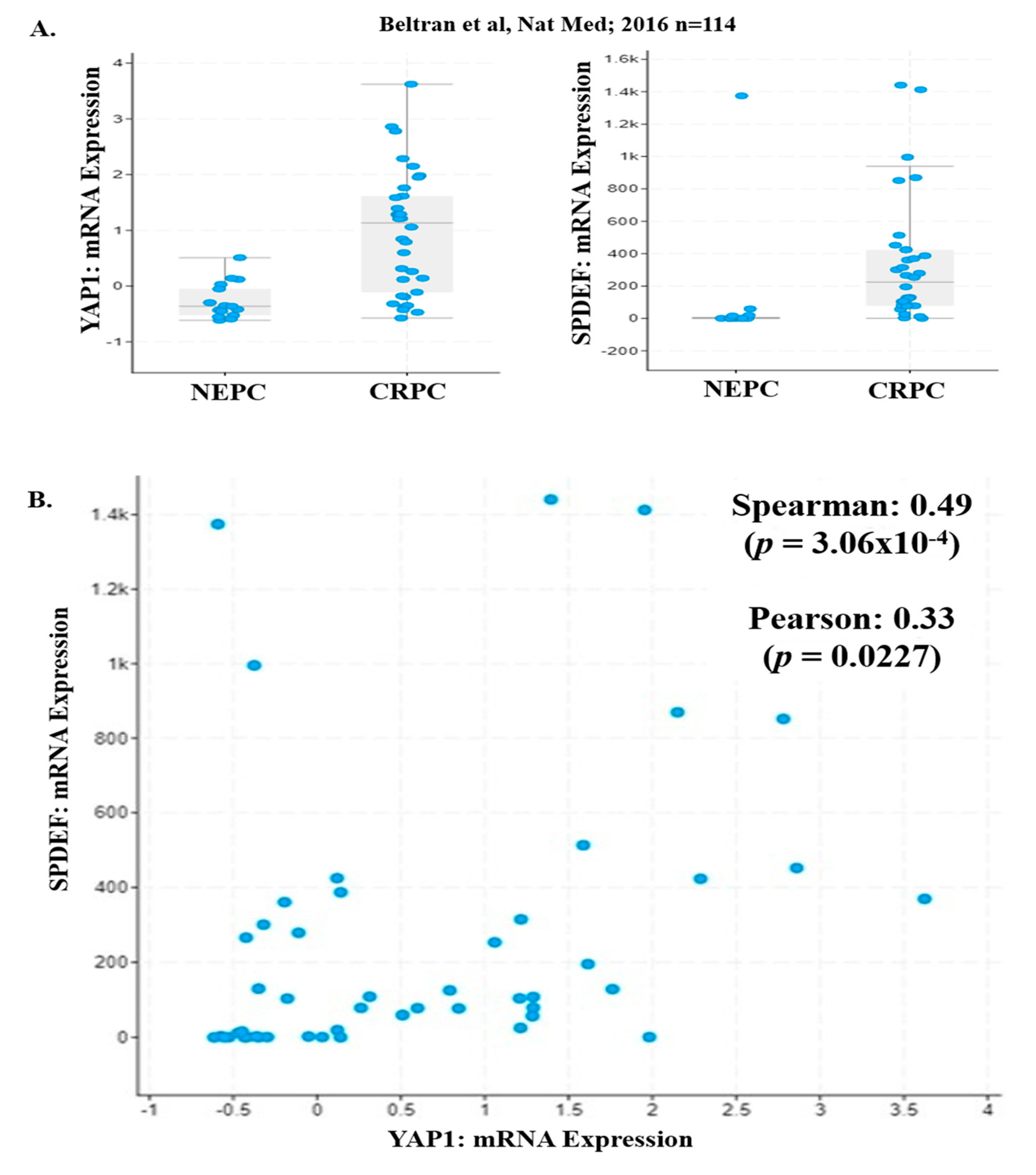 Pharmaceuticals 12 00181 g003