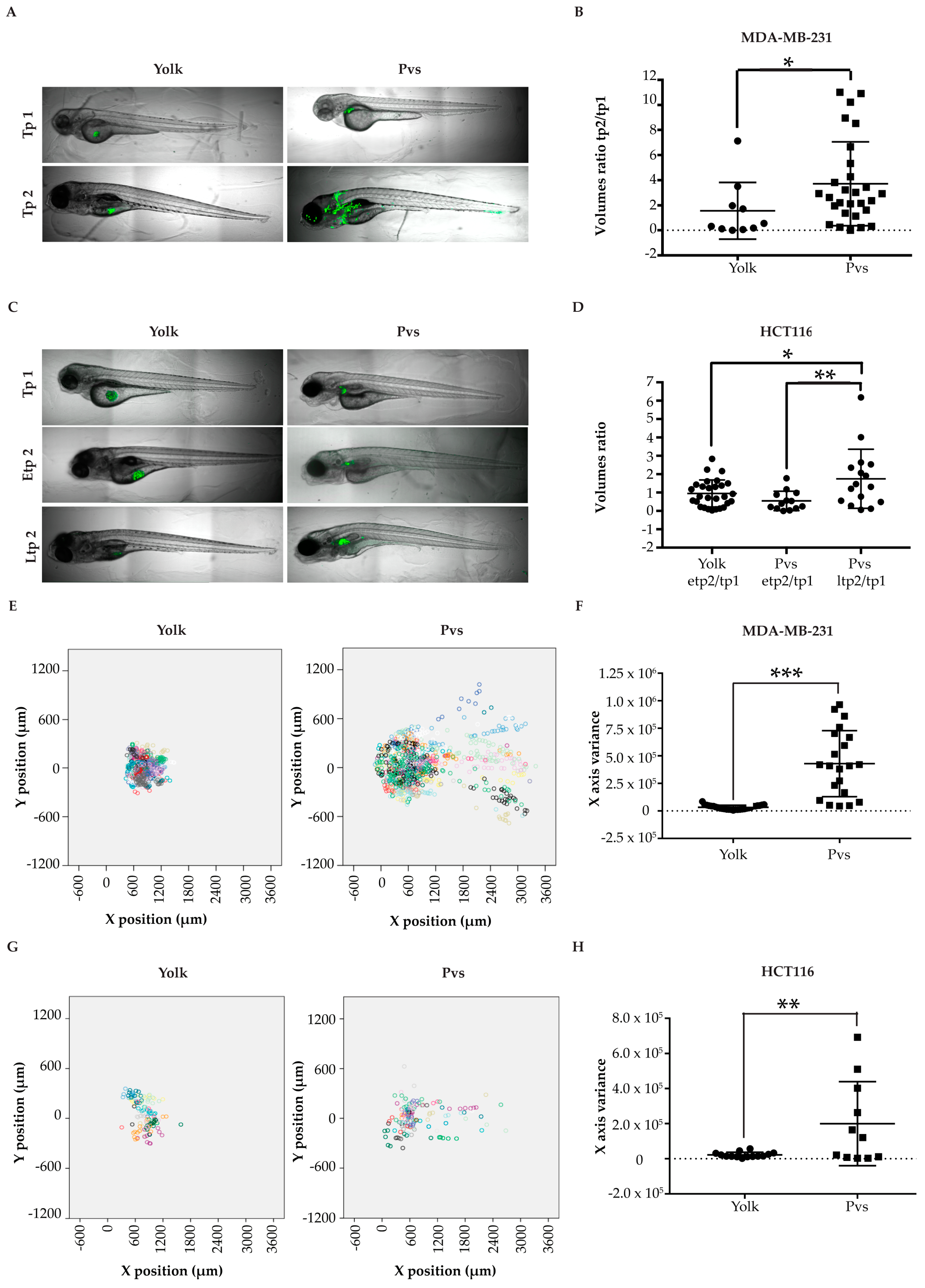 Pharmaceuticals 13 00001 g003