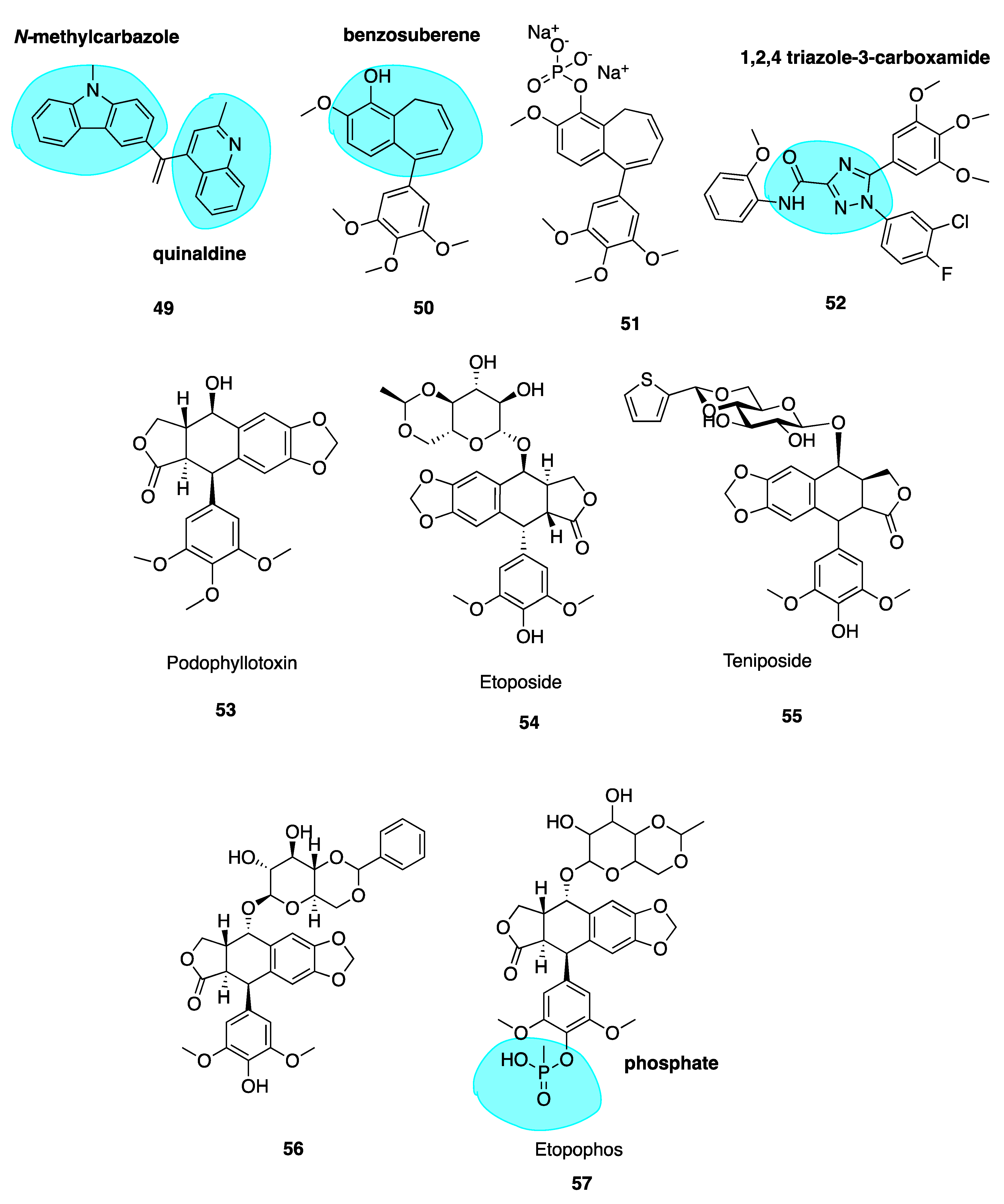 Pharmaceuticals 13 00008 g008