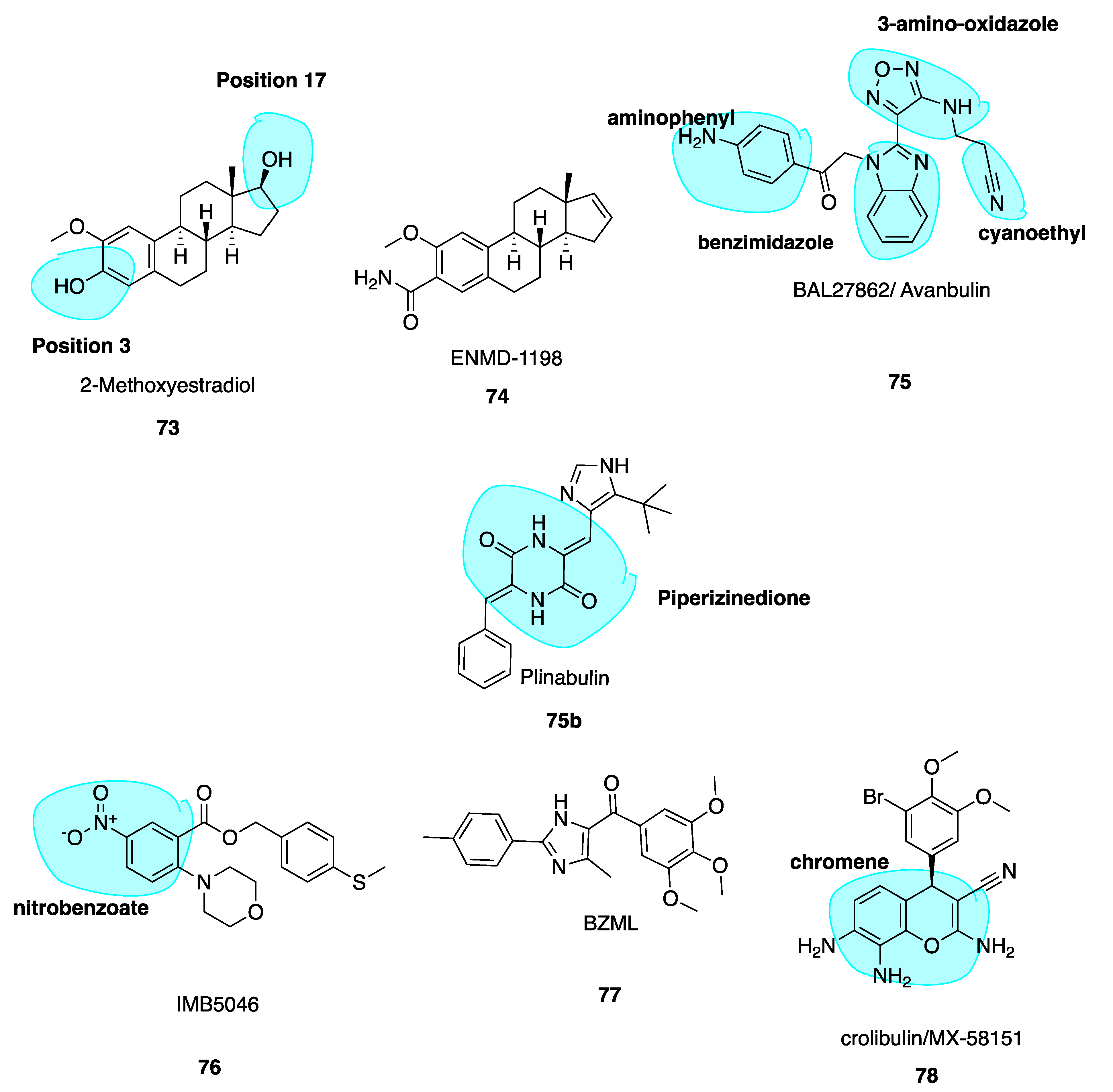 Pharmaceuticals 13 00008 g011