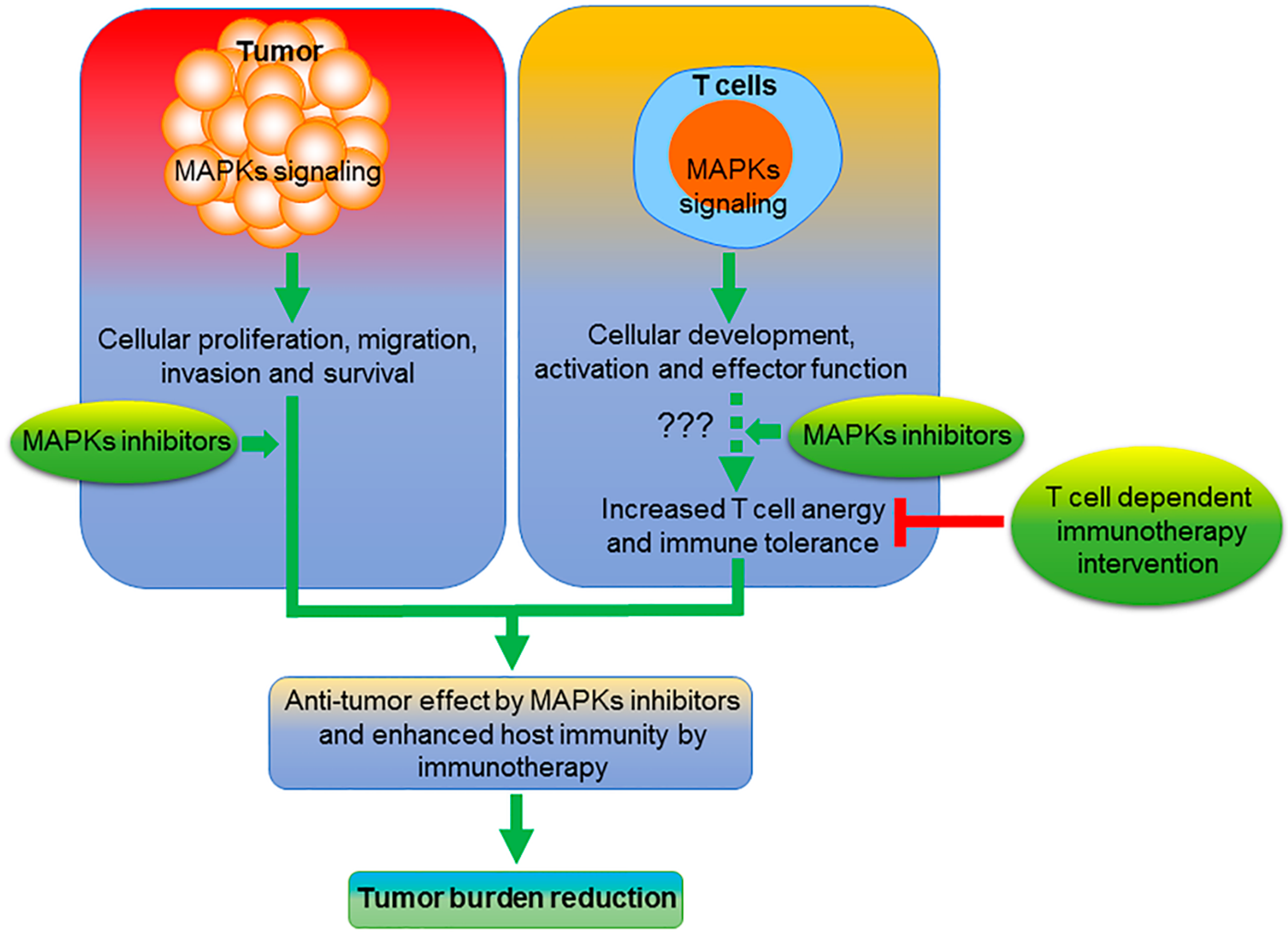Pharmaceuticals 13 00009 g001