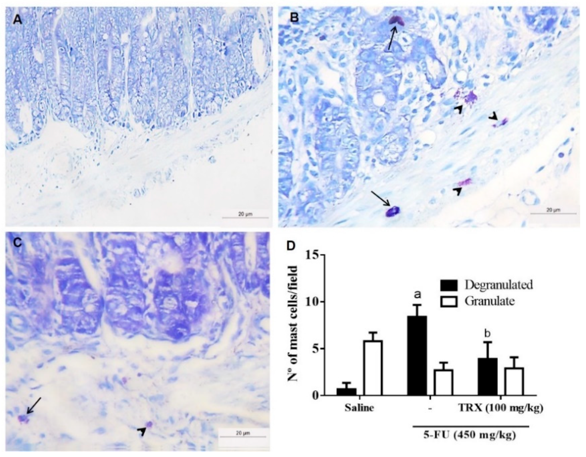Pharmaceuticals 13 00010 g005