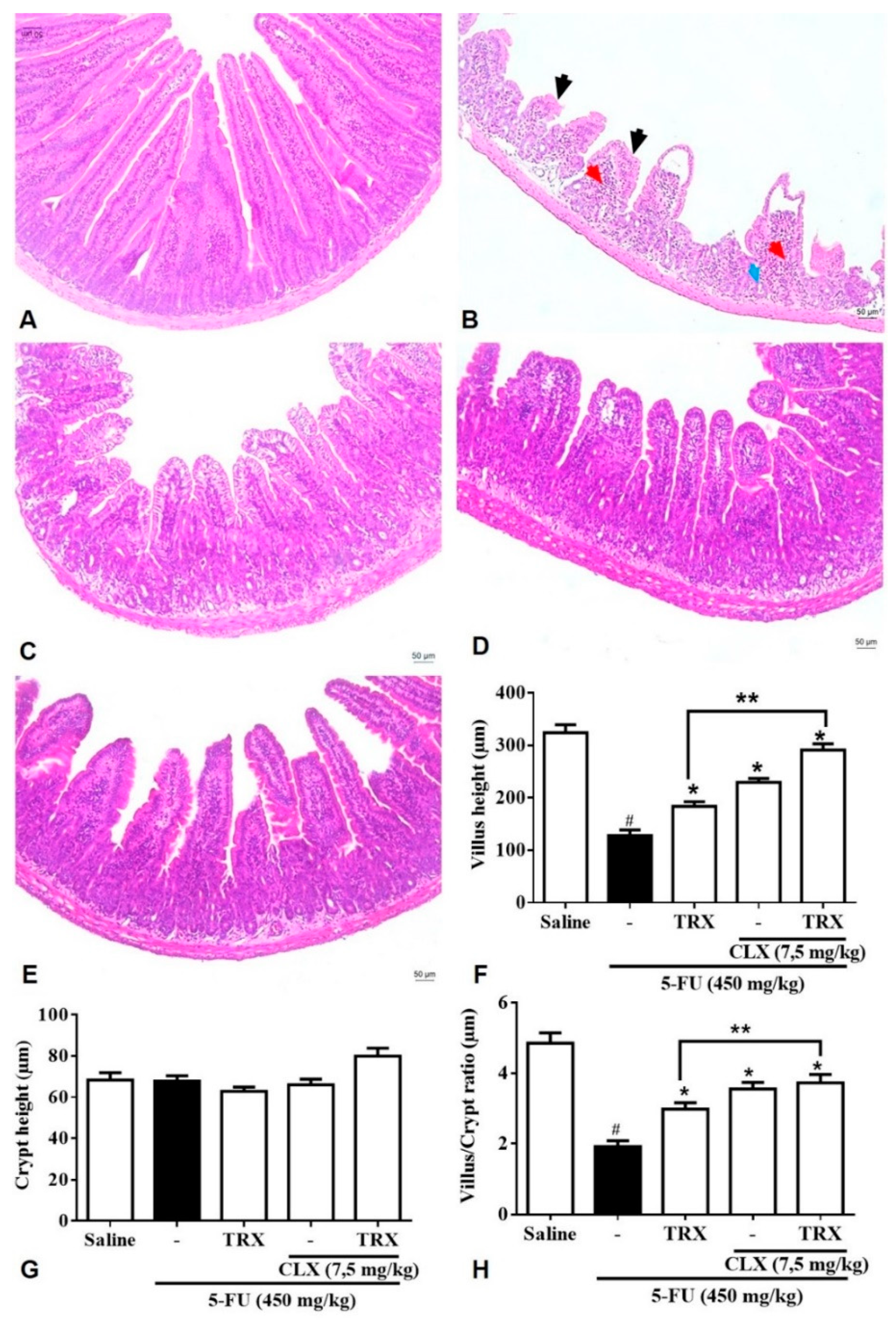Pharmaceuticals 13 00010 g007