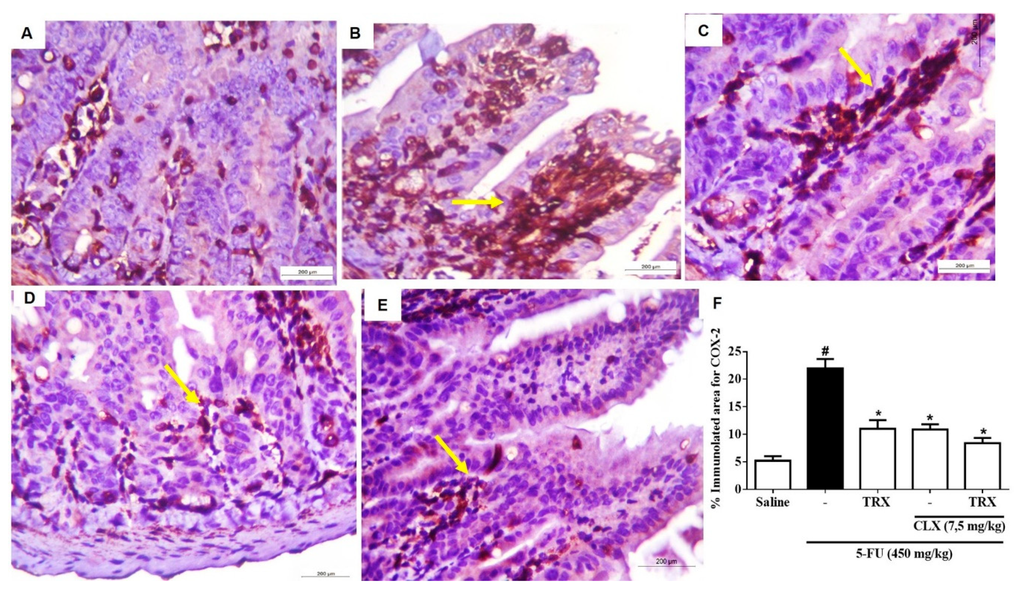 Pharmaceuticals 13 00010 g008