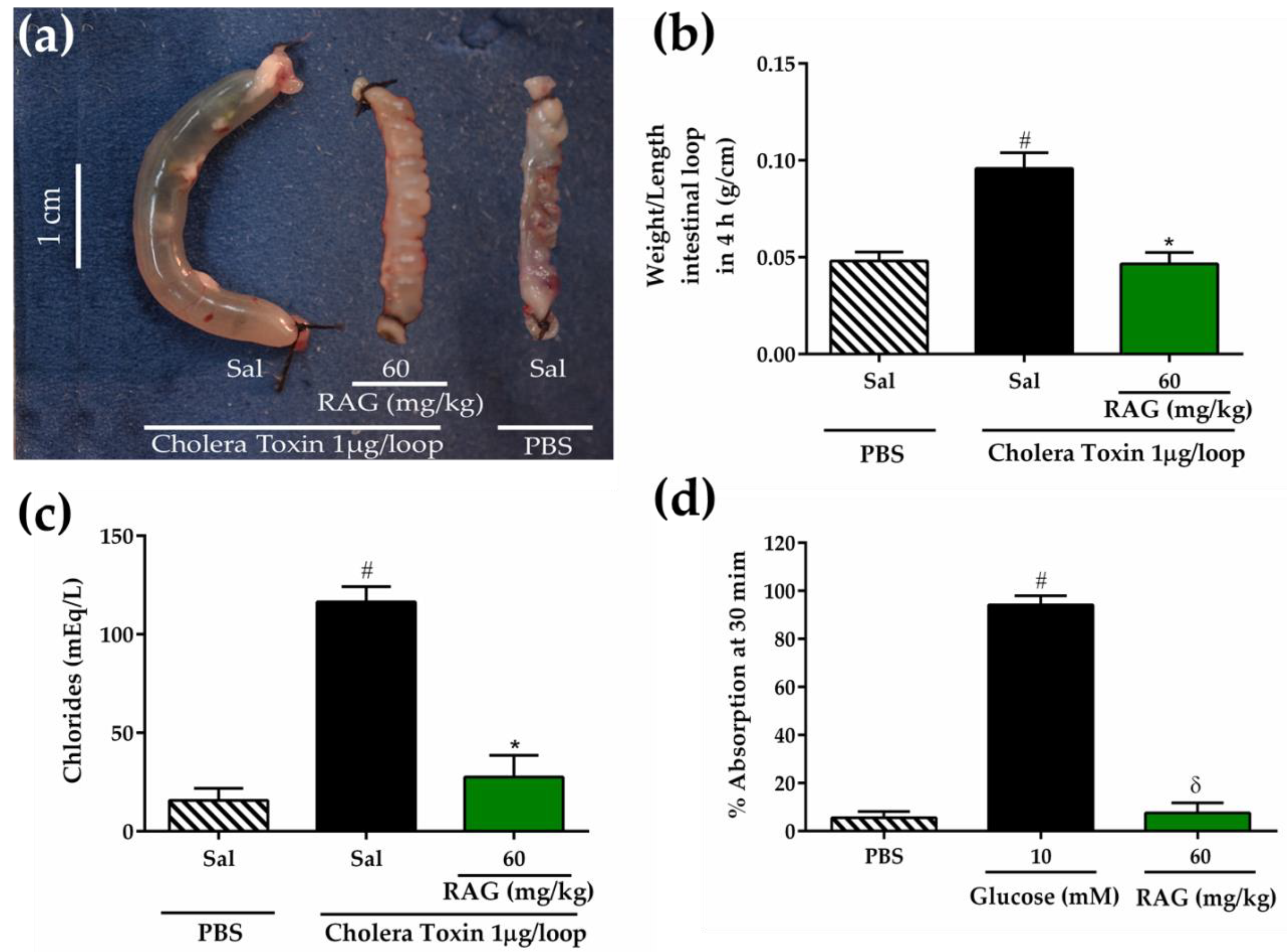 Pharmaceuticals 13 00017 g006