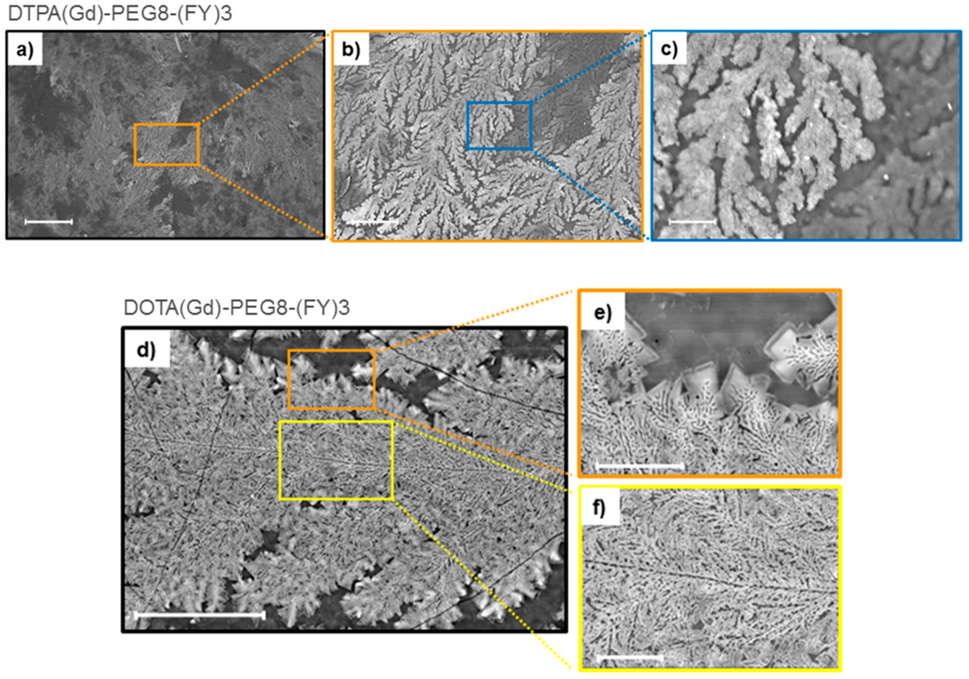 Pharmaceuticals 13 00019 g003