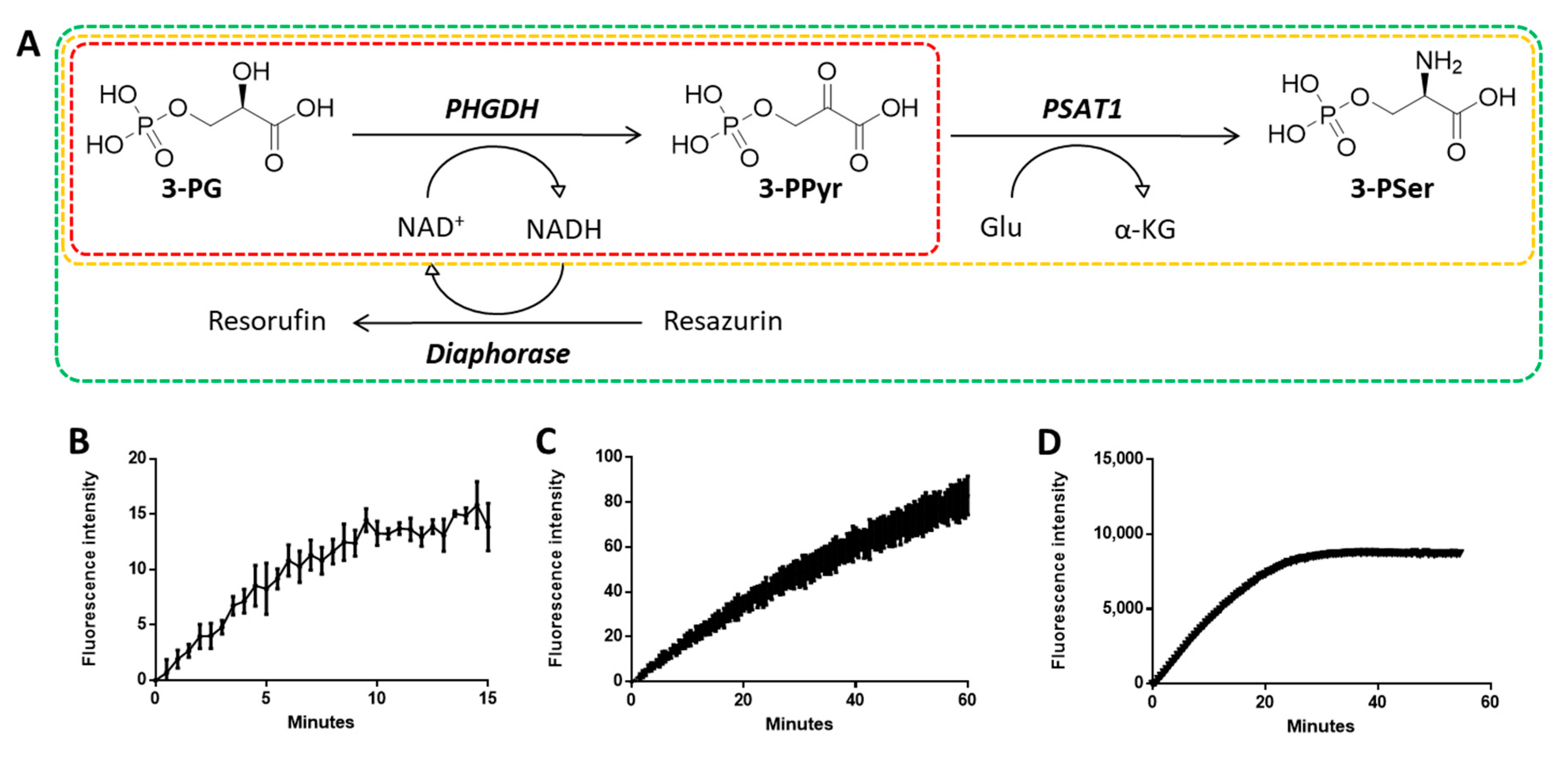 Pharmaceuticals 13 00020 g002