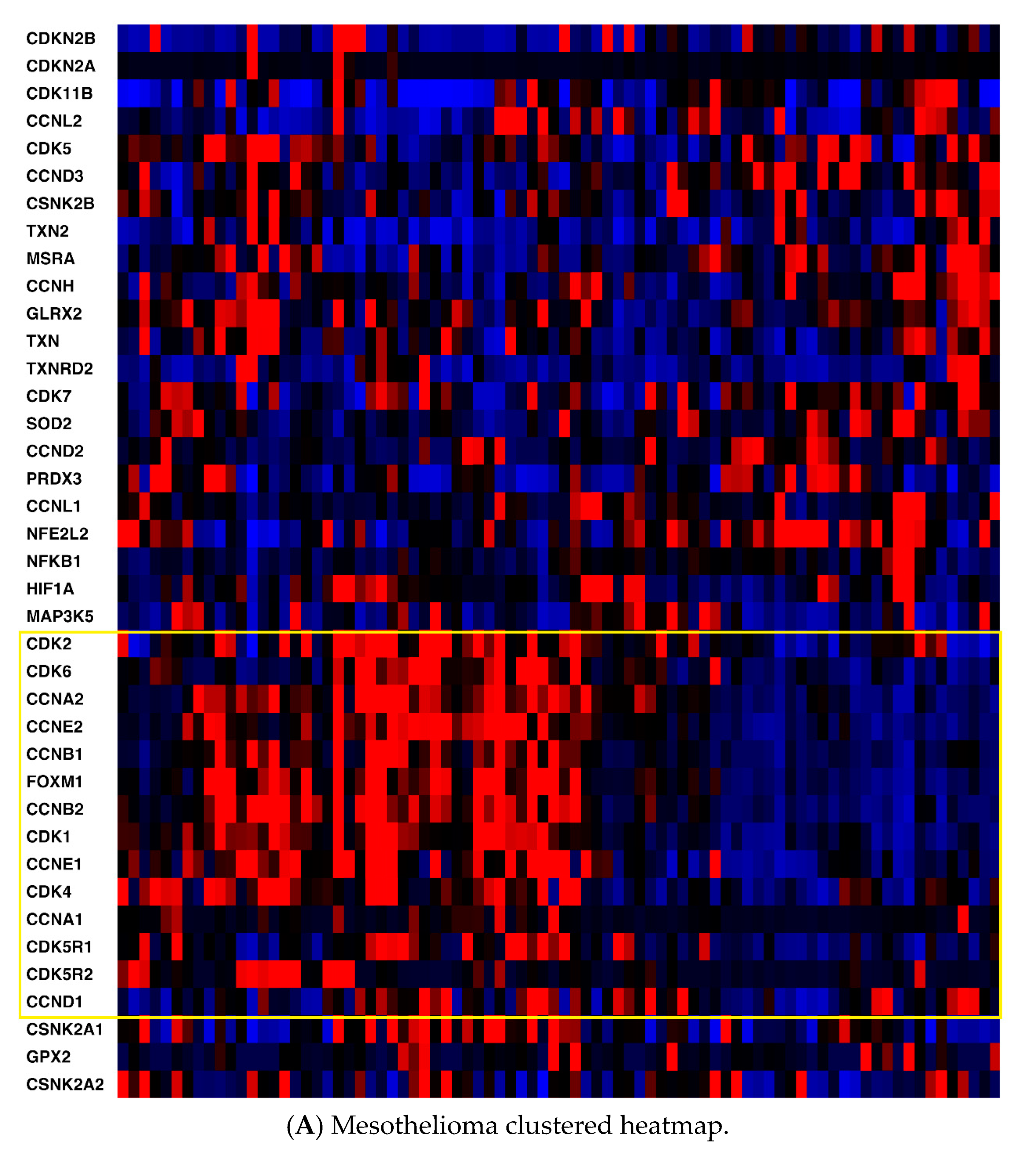 Pharmaceuticals 13 00026 g001a