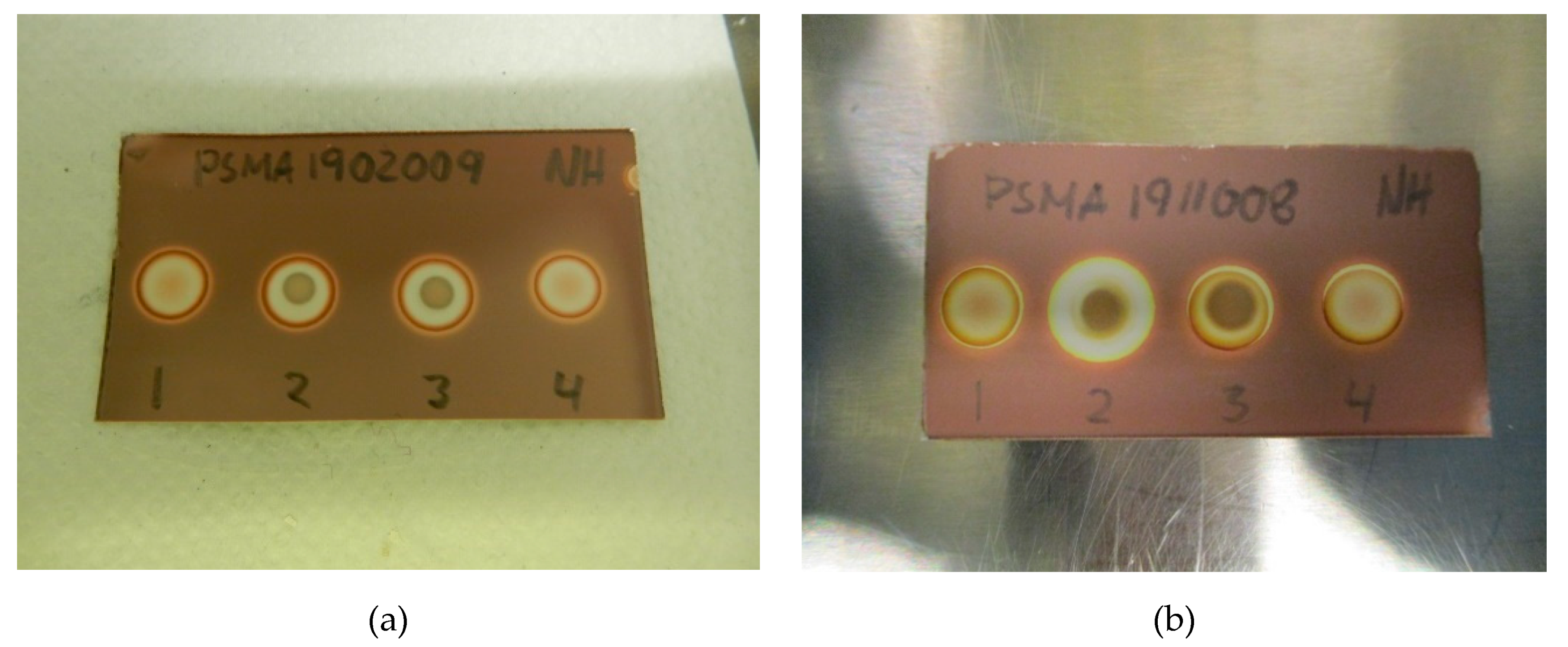 Pharmaceuticals 13 00027 g002