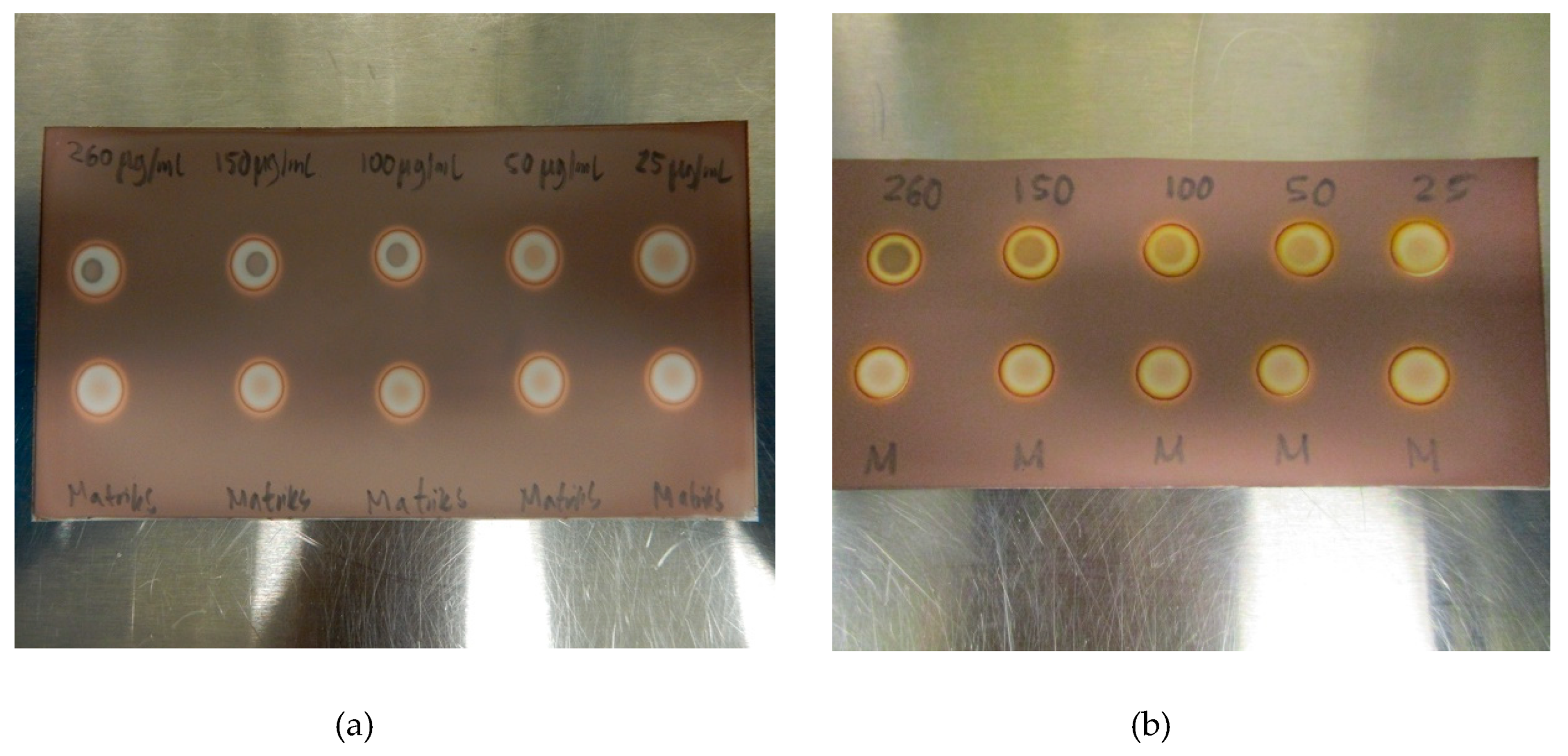 Pharmaceuticals 13 00027 g005