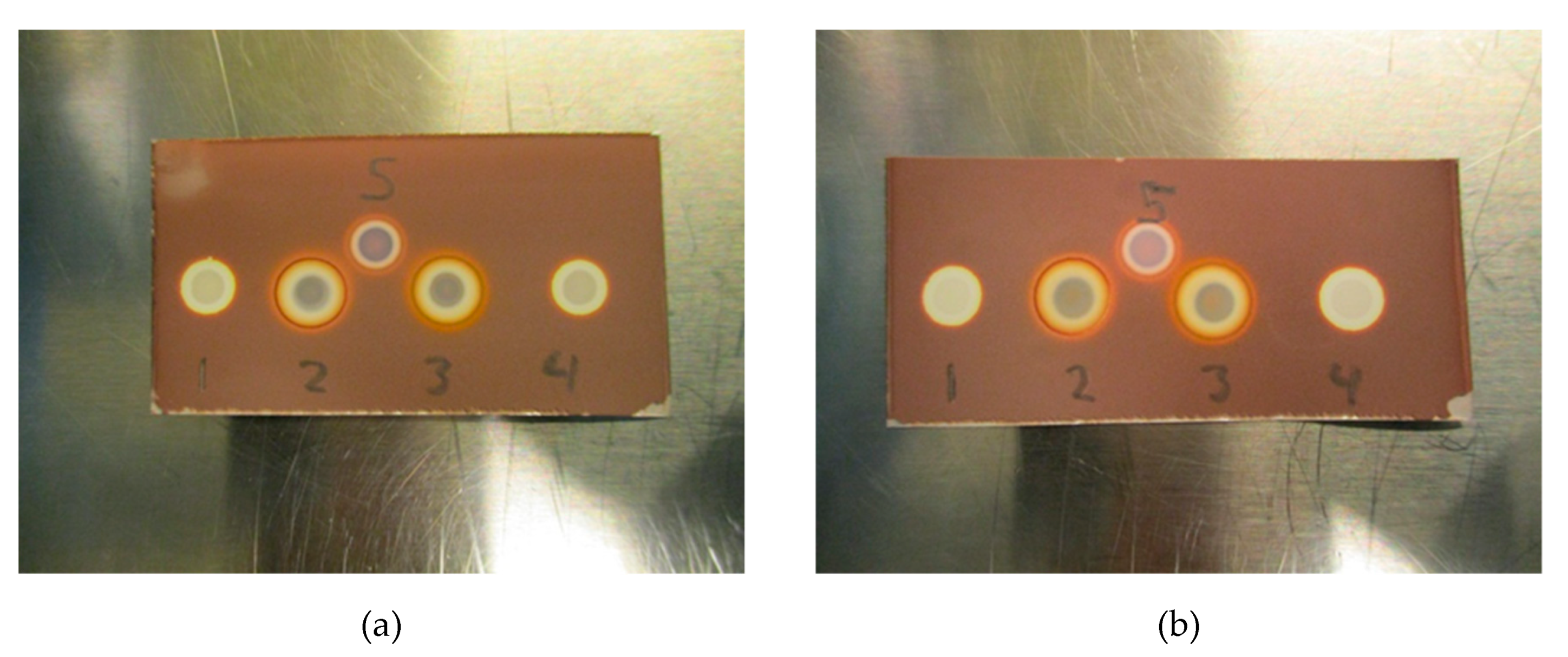 Pharmaceuticals 13 00027 g007