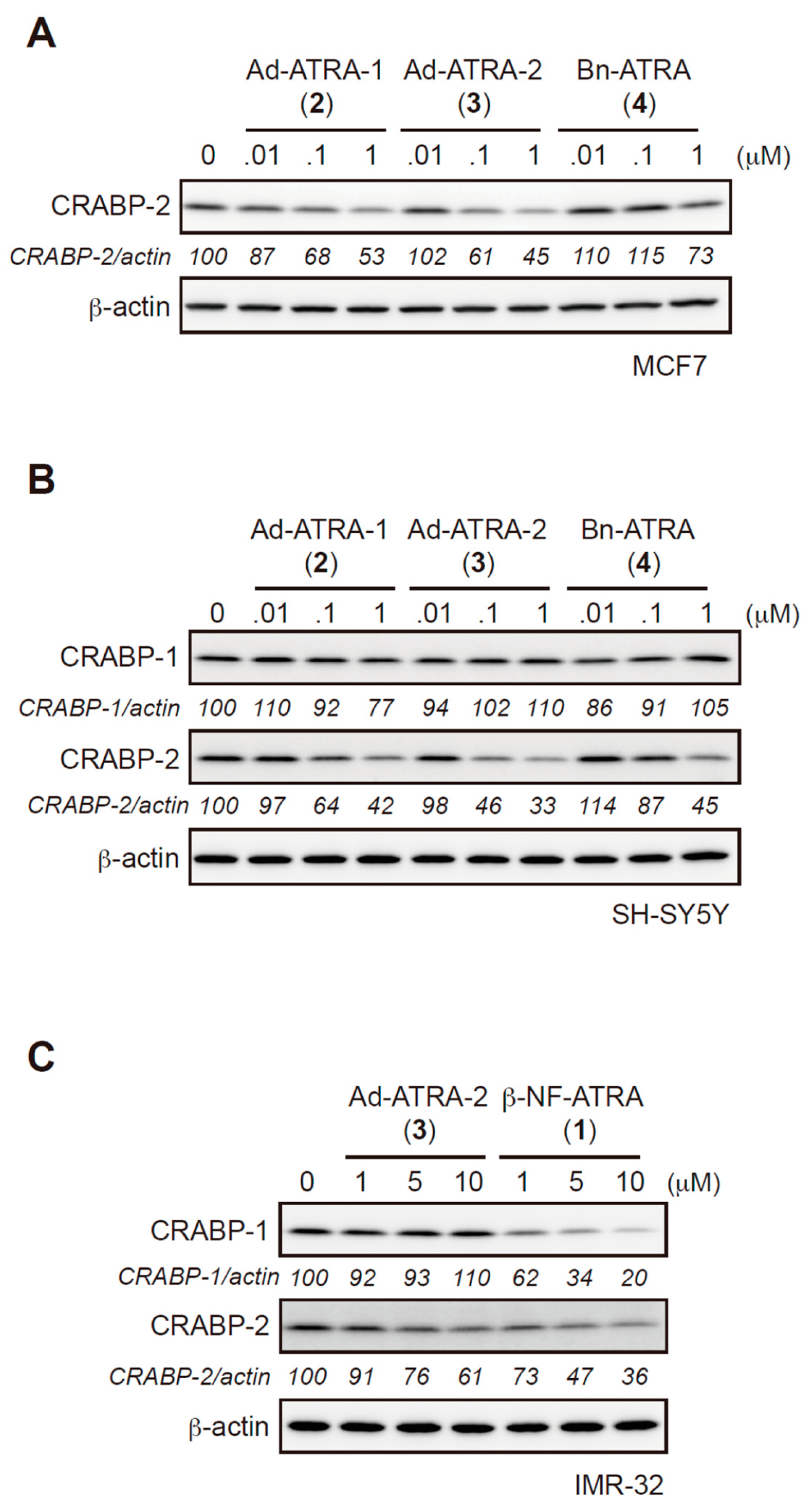 Pharmaceuticals 13 00034 g003