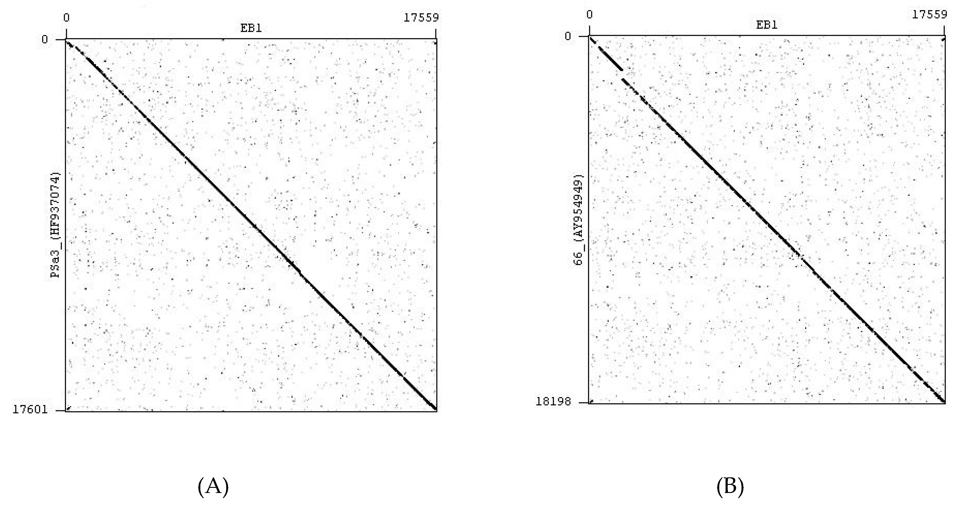 Pharmaceuticals 13 00035 g006a