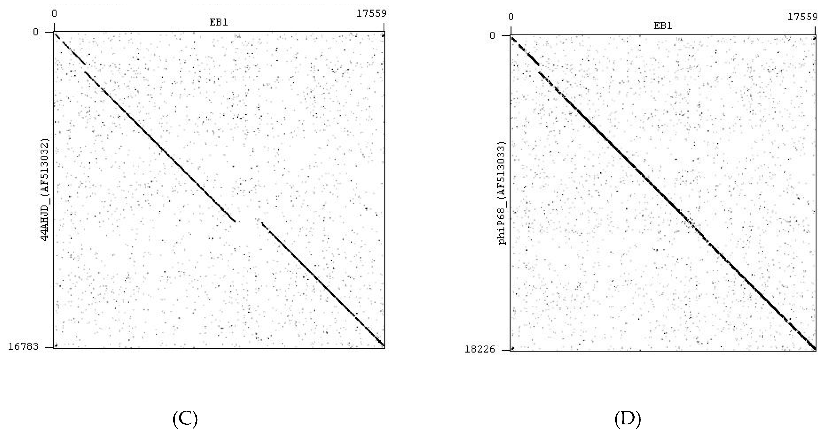 Pharmaceuticals 13 00035 g006b