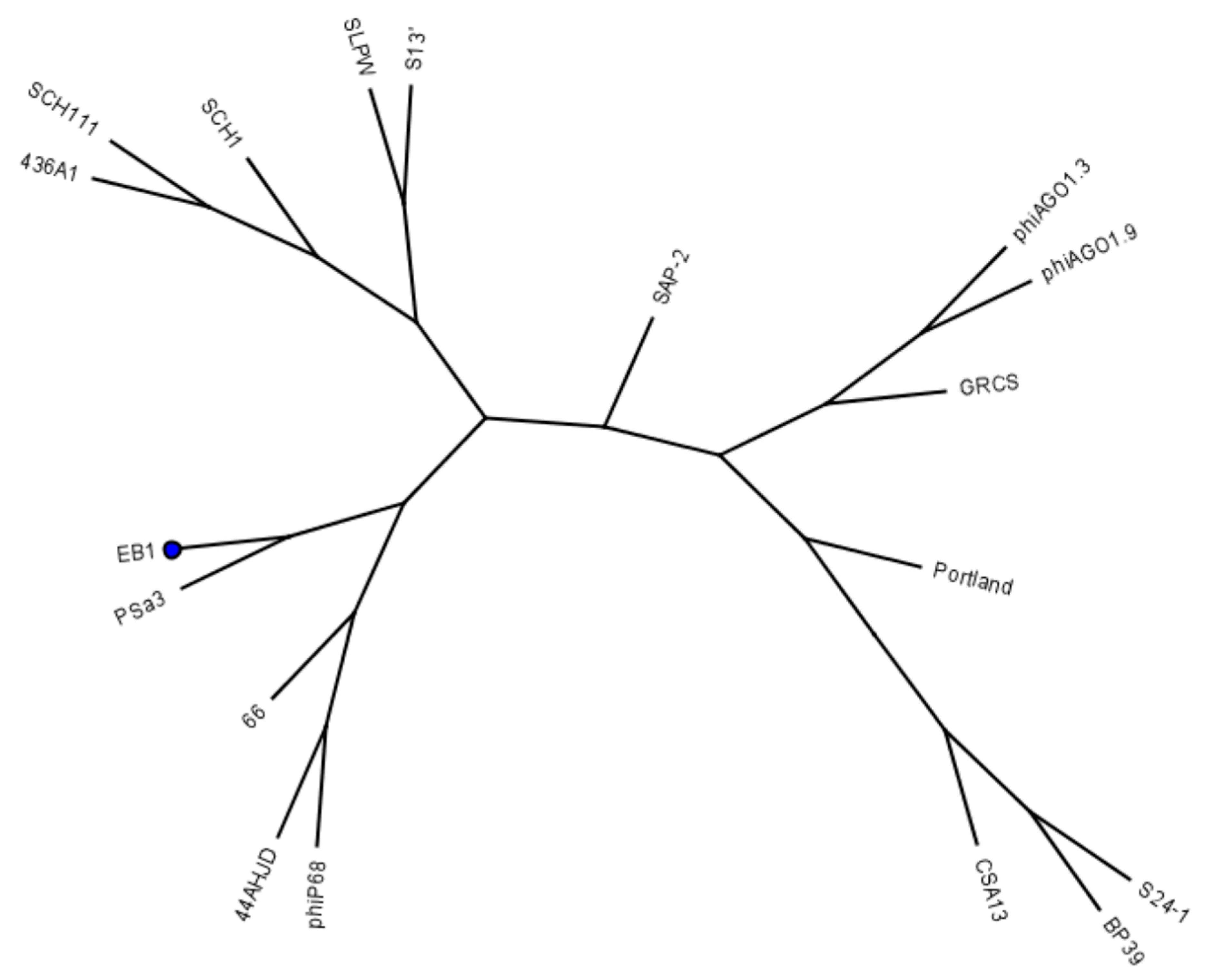 Pharmaceuticals 13 00035 g007
