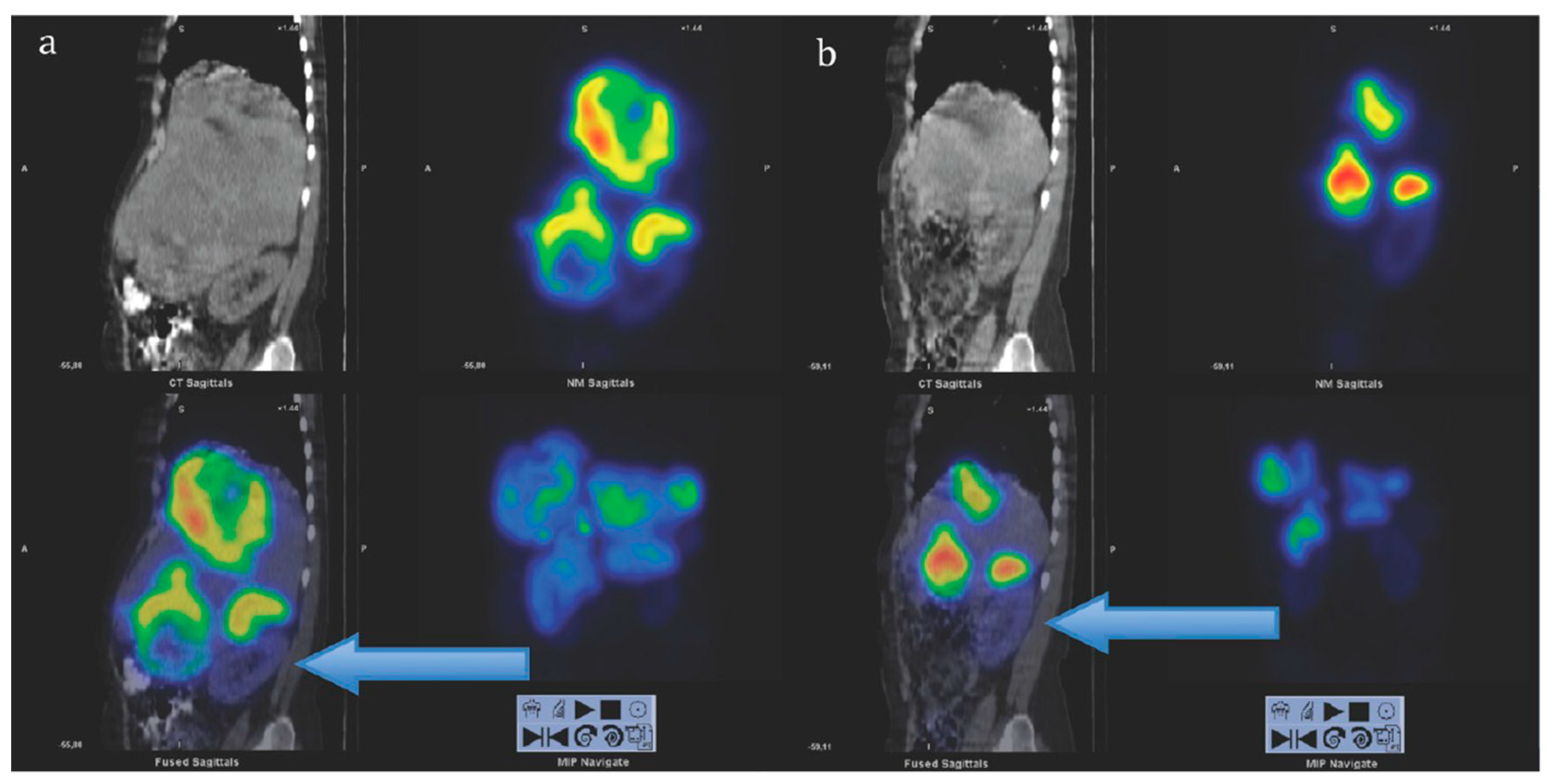 Pharmaceuticals 13 00039 g006