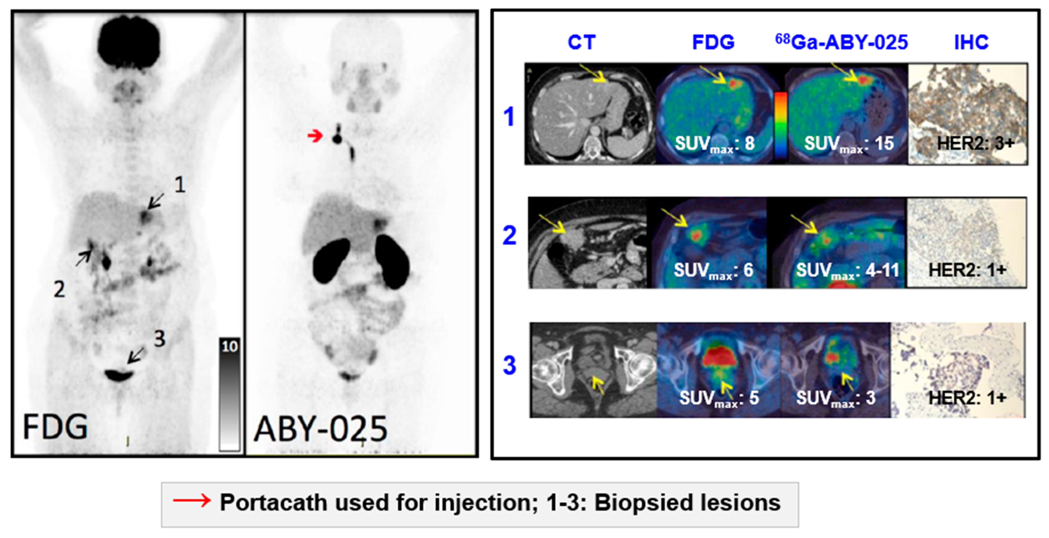 Pharmaceuticals 13 00039 g011