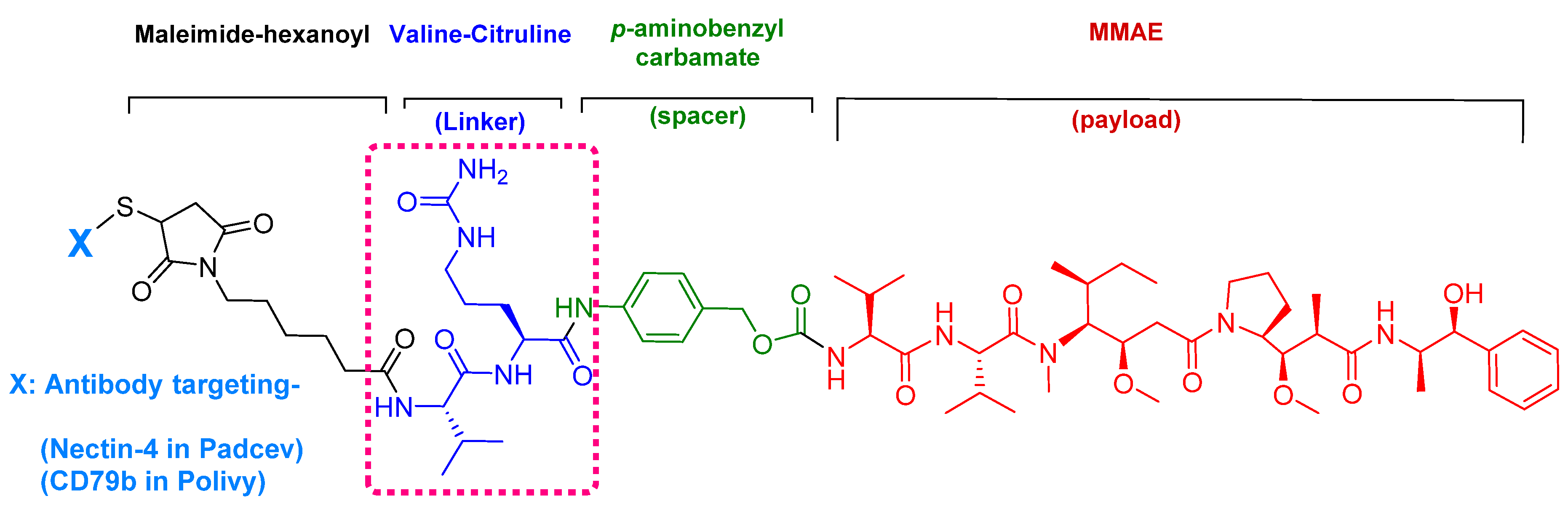 Pharmaceuticals 13 00040 g007